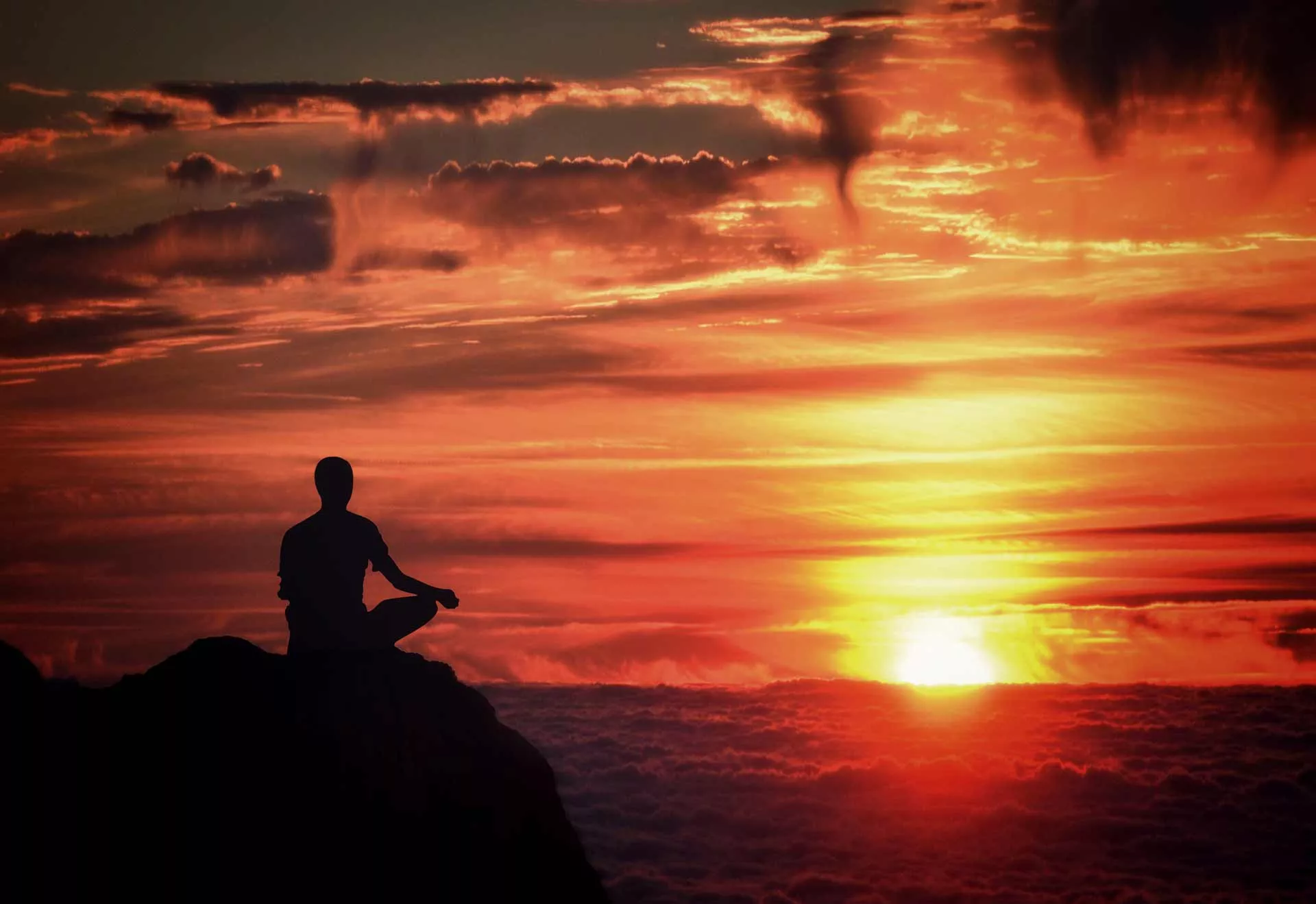 Free Yoga