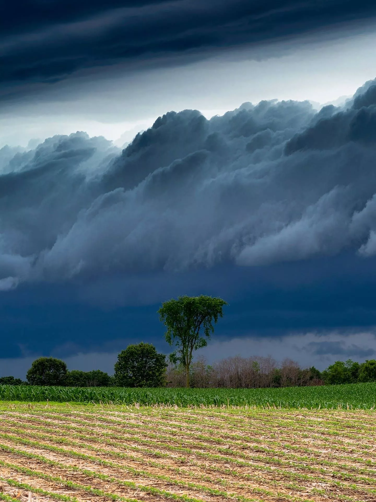 Gloomy Weather And Dark Clouds