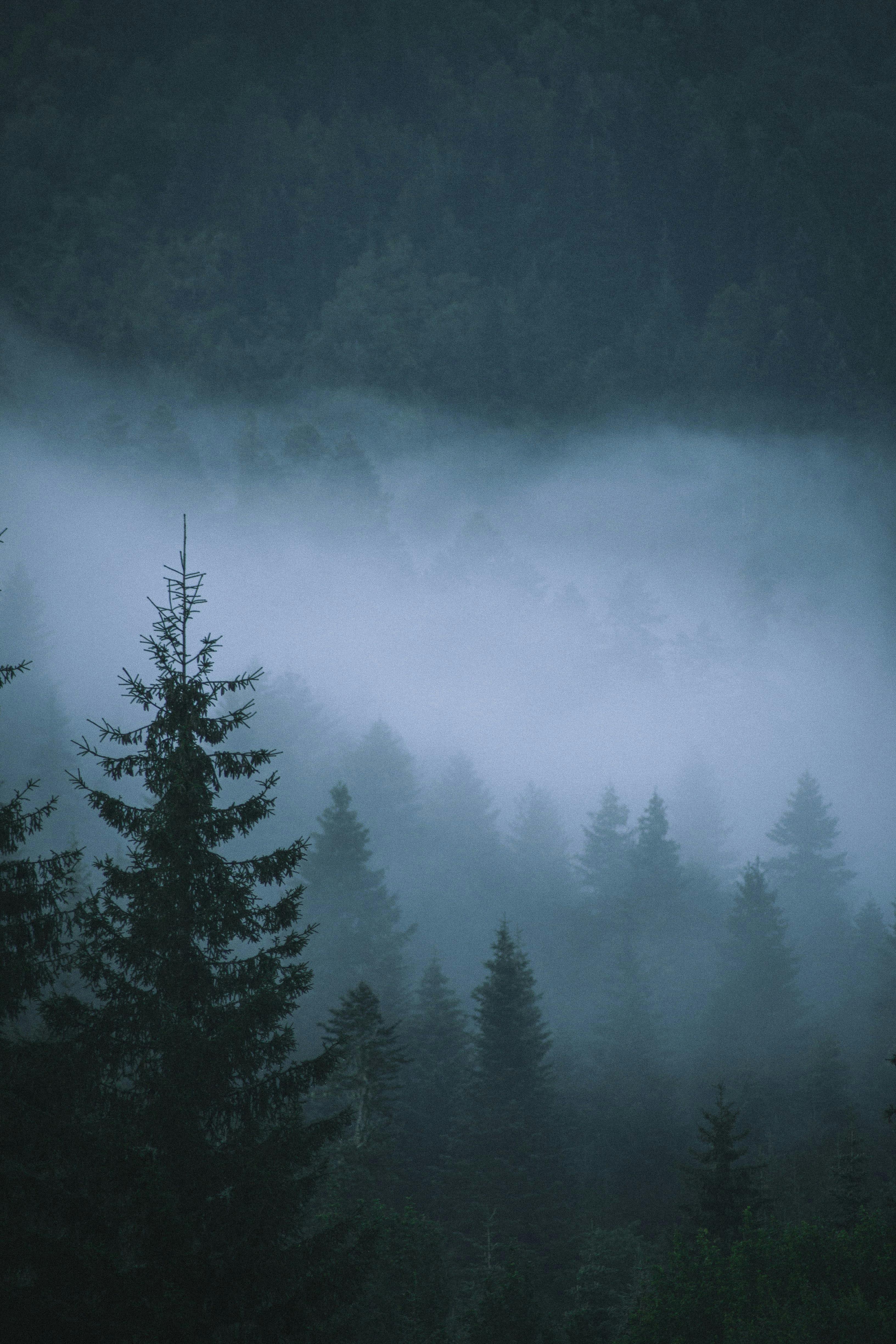 Gloomy Weather · Free