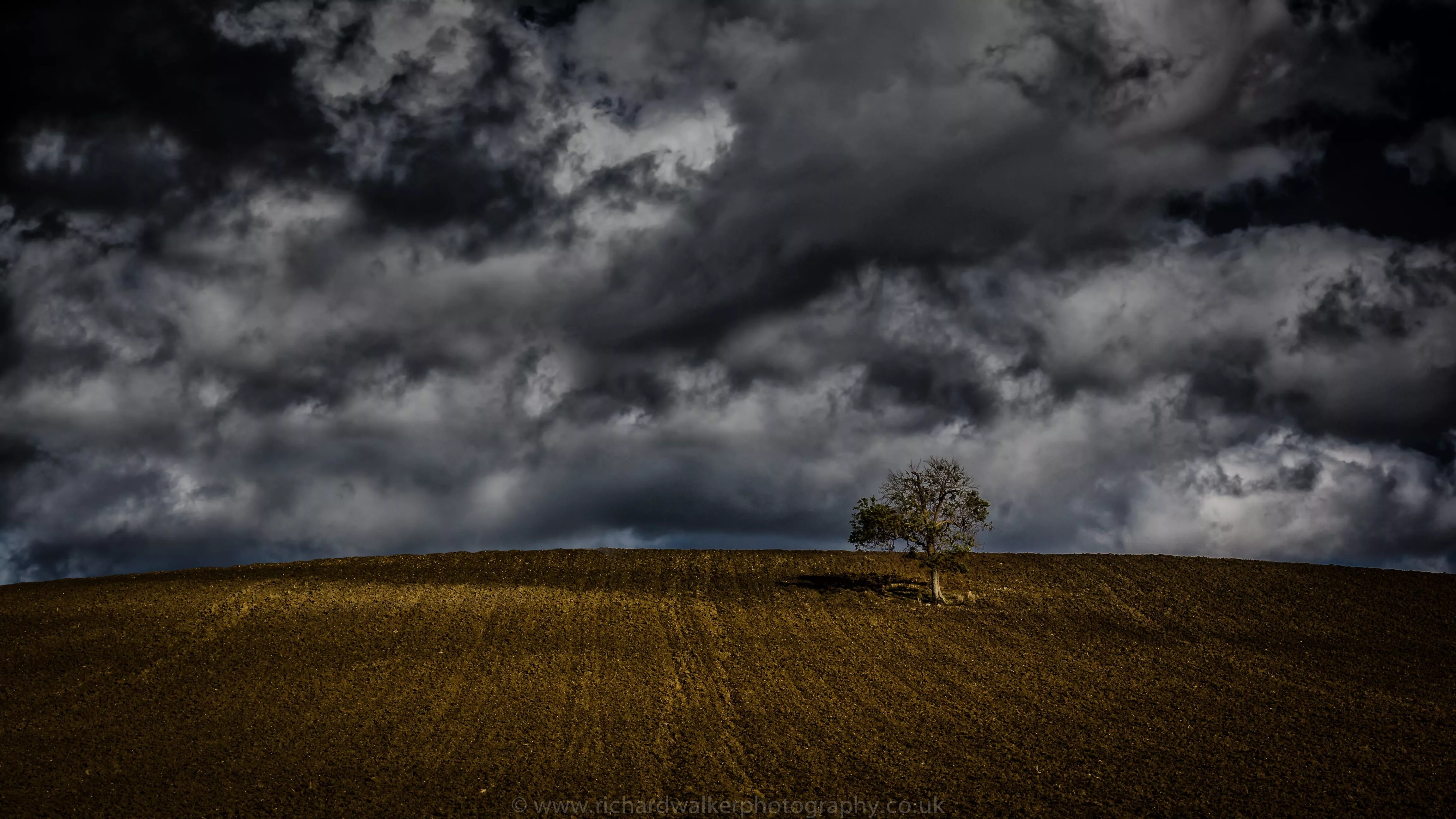 Field with bad weather HD wallpaper