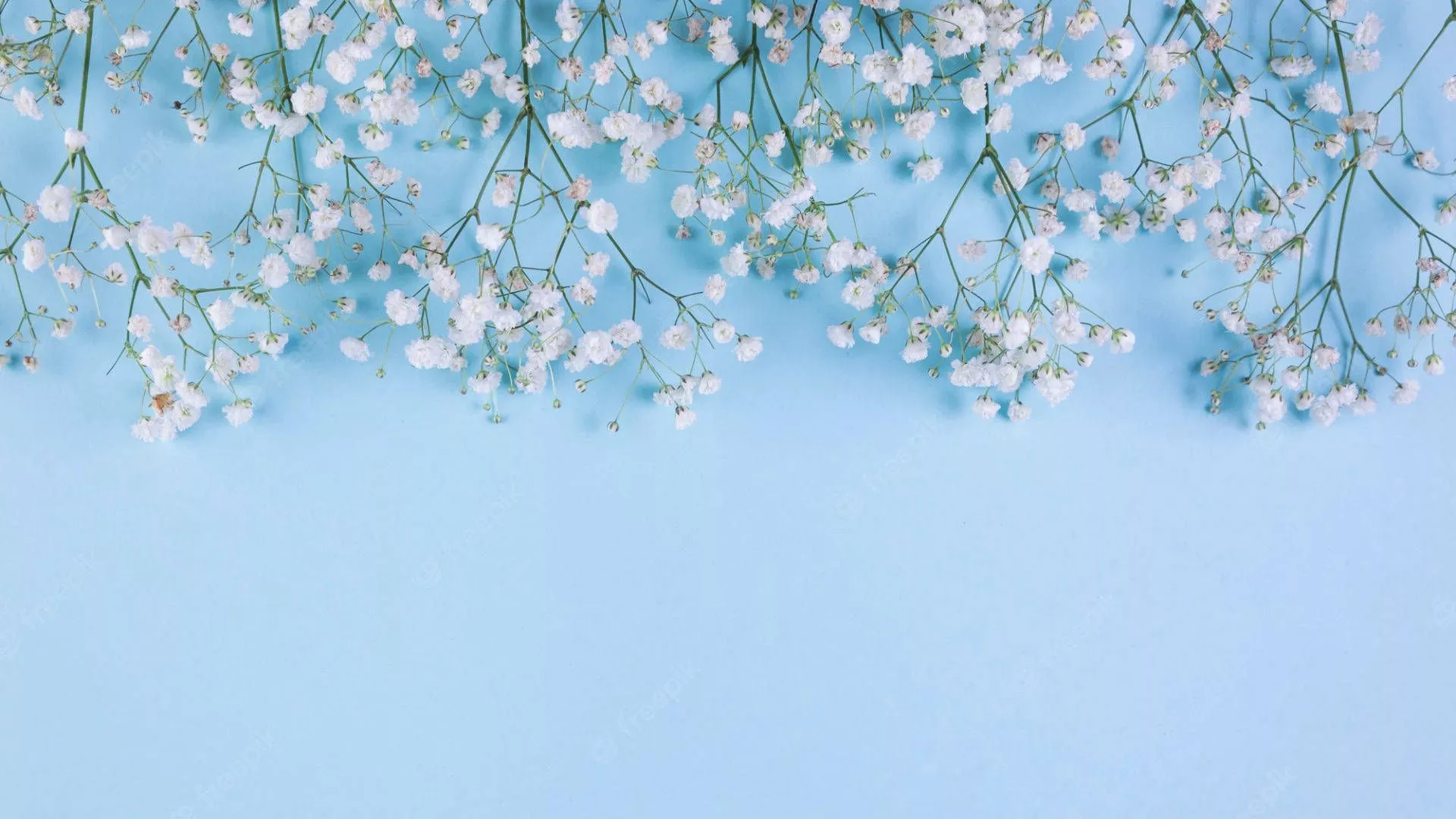 Cute Light Blue Wallpaper