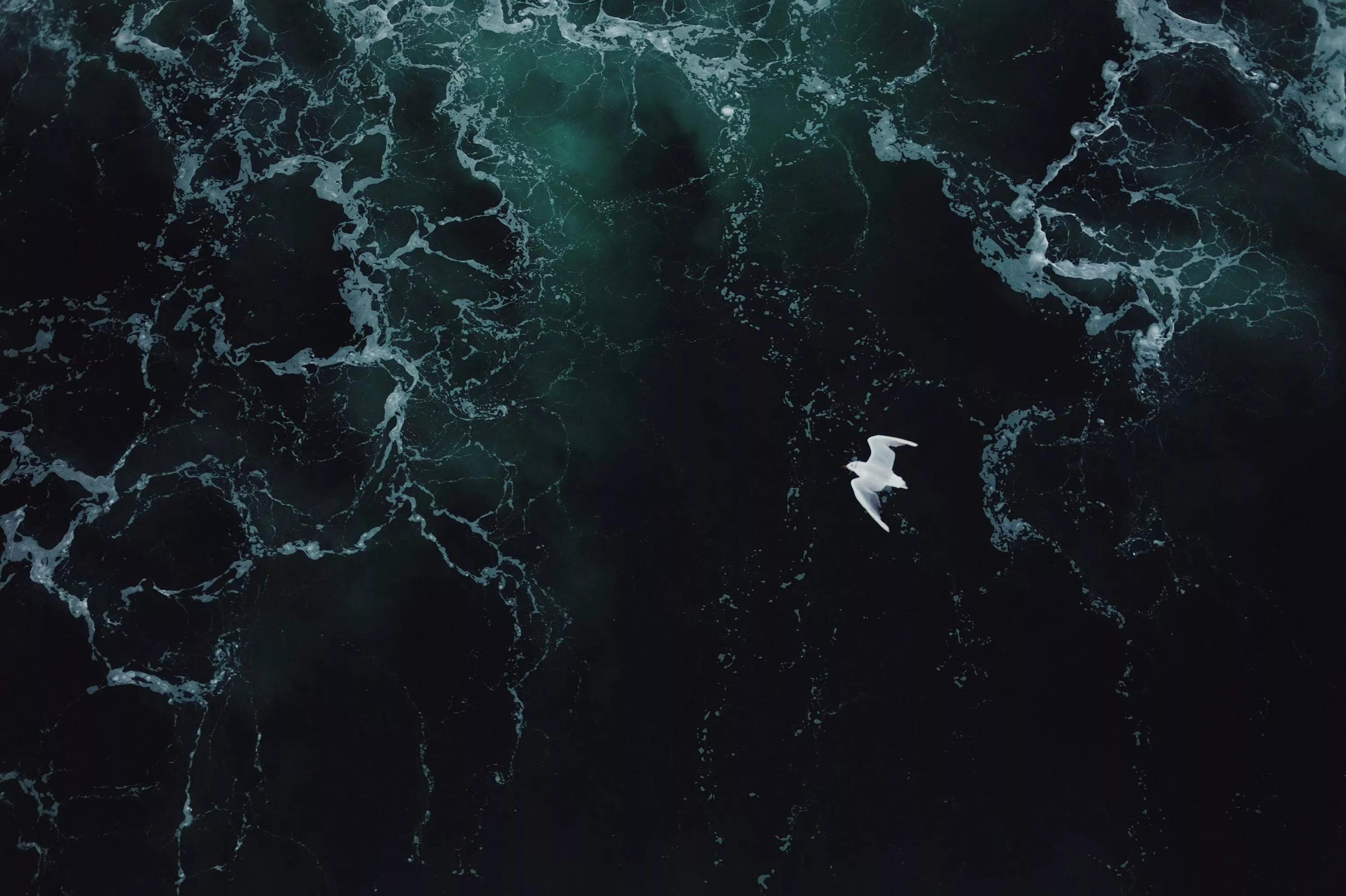 Dark Sea Picture [HQ]. Download