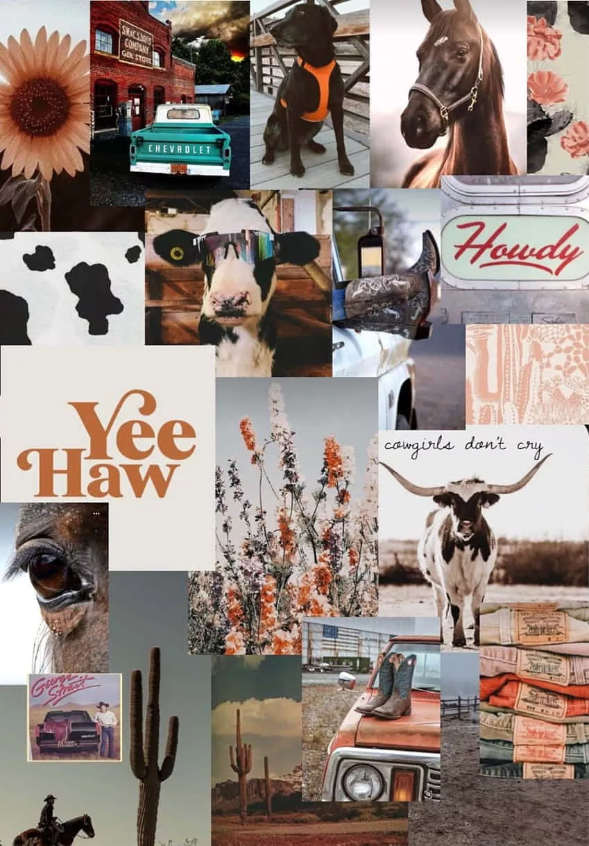 Cute Country Aesthetic Image Collage