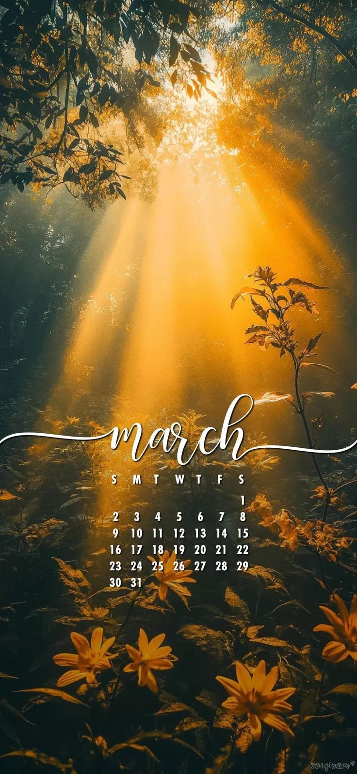 Forest Sunrise Calendar Wallpaper