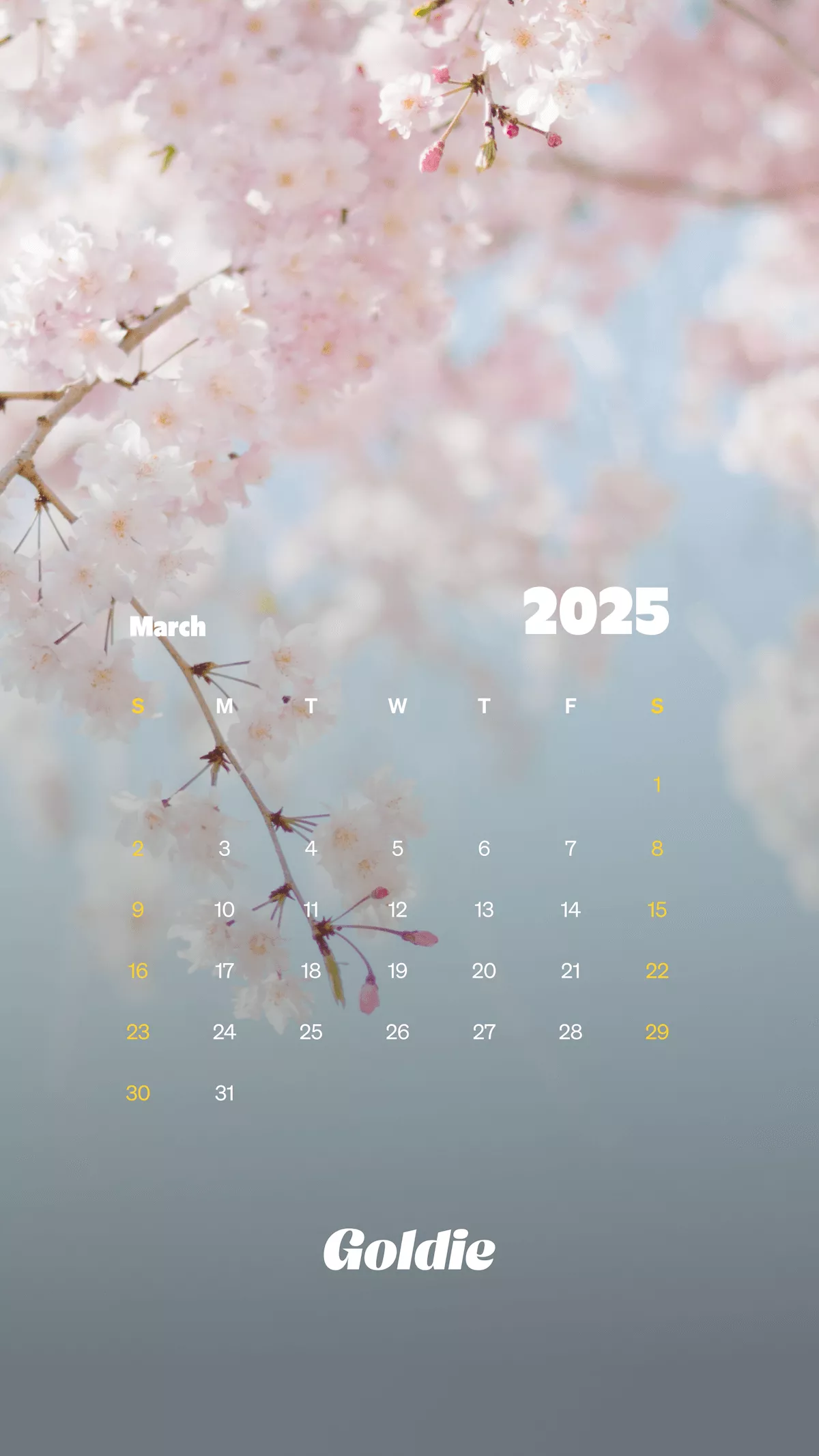 Free March 2025 Calendar Wallpaper