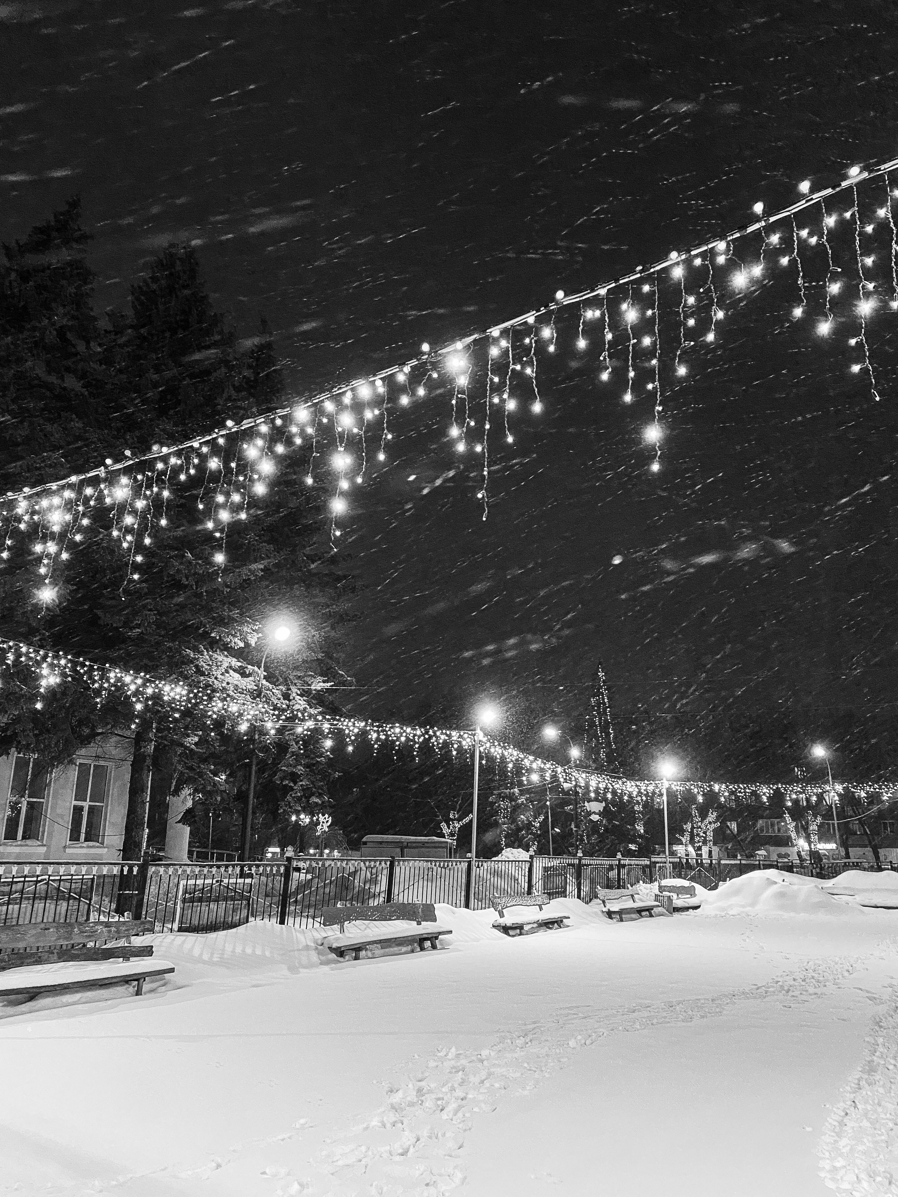Grayscale Photography of Hanging String