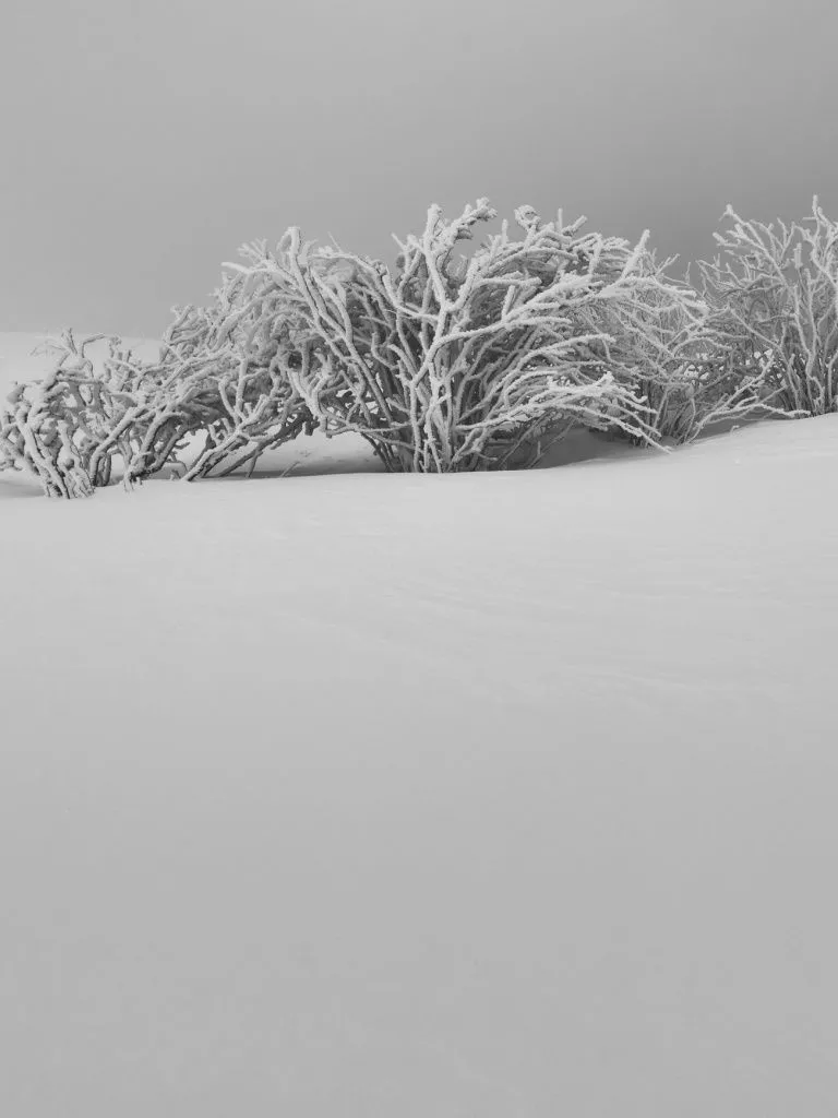 Ultra HD Wallpaper for 4K UHD