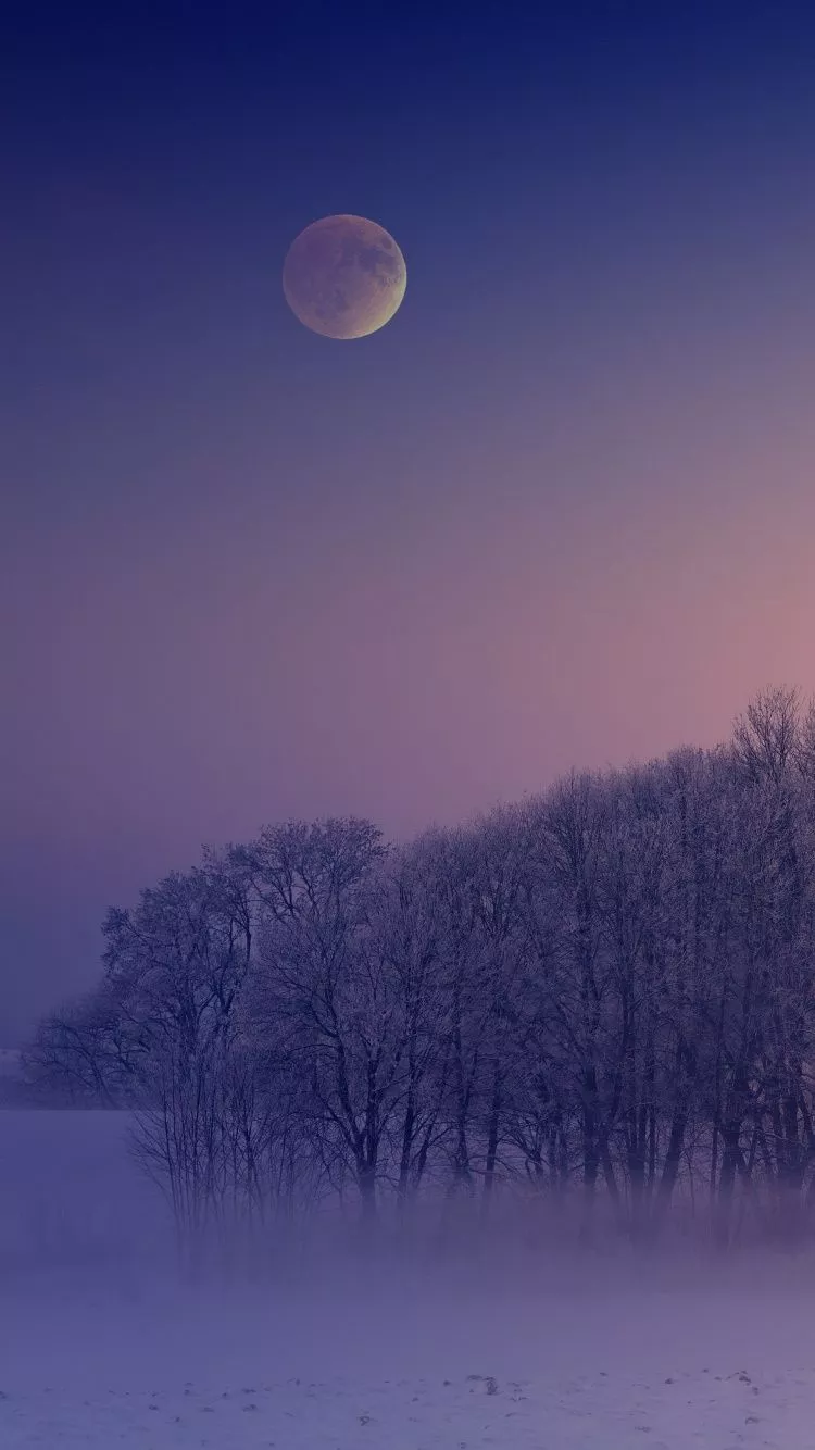 Winter Wallpaper 4K, Aesthetic, Morning