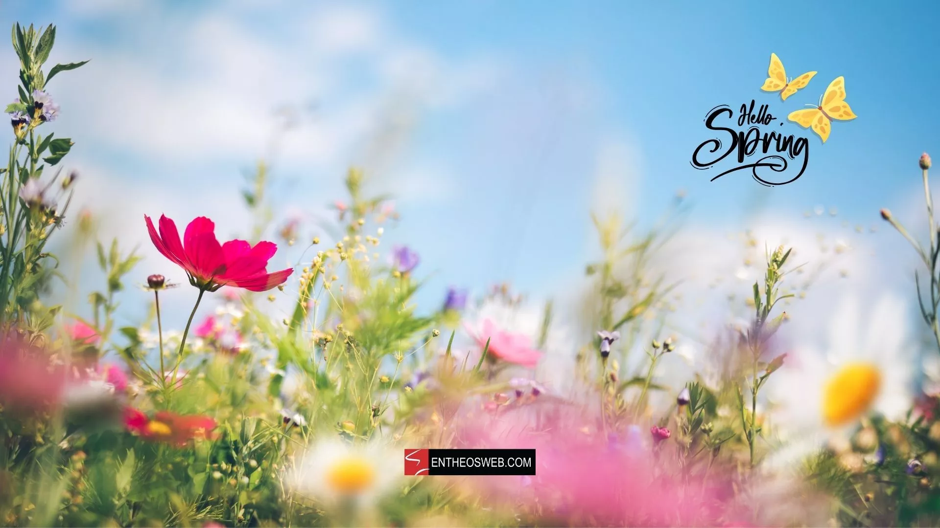 Spring Desktop Wallpaper