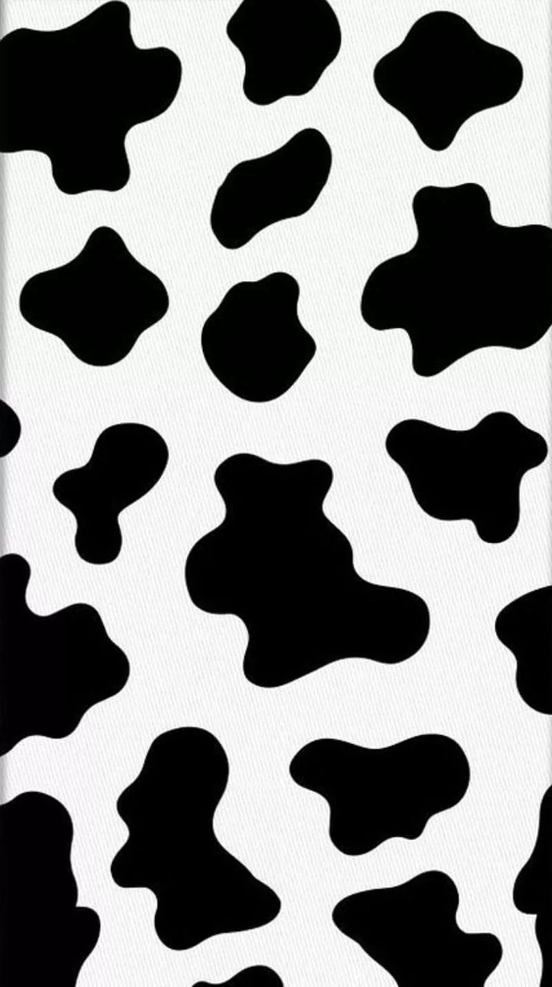 HD cows wallpaper
