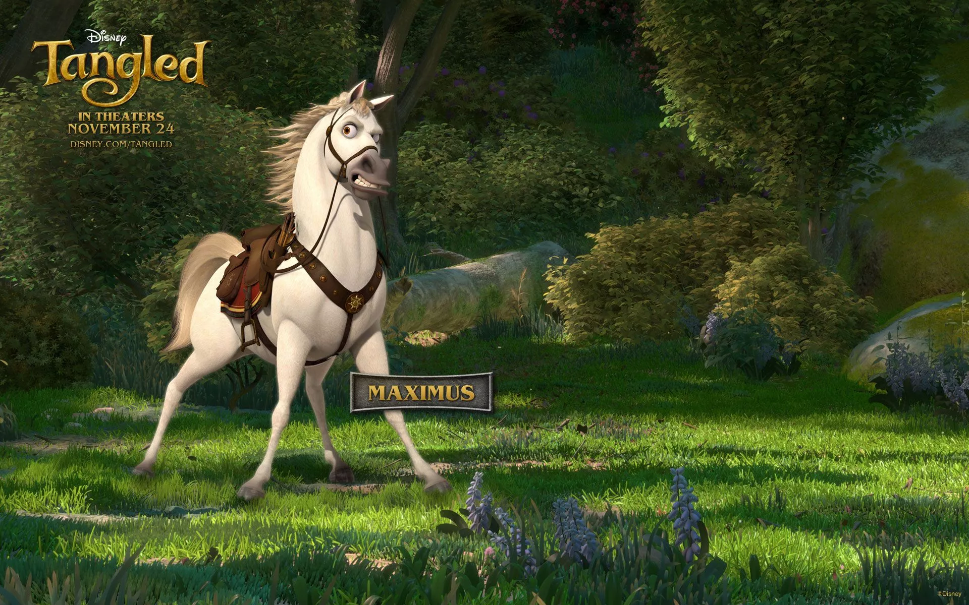 Tangled Desktop Wallpaper