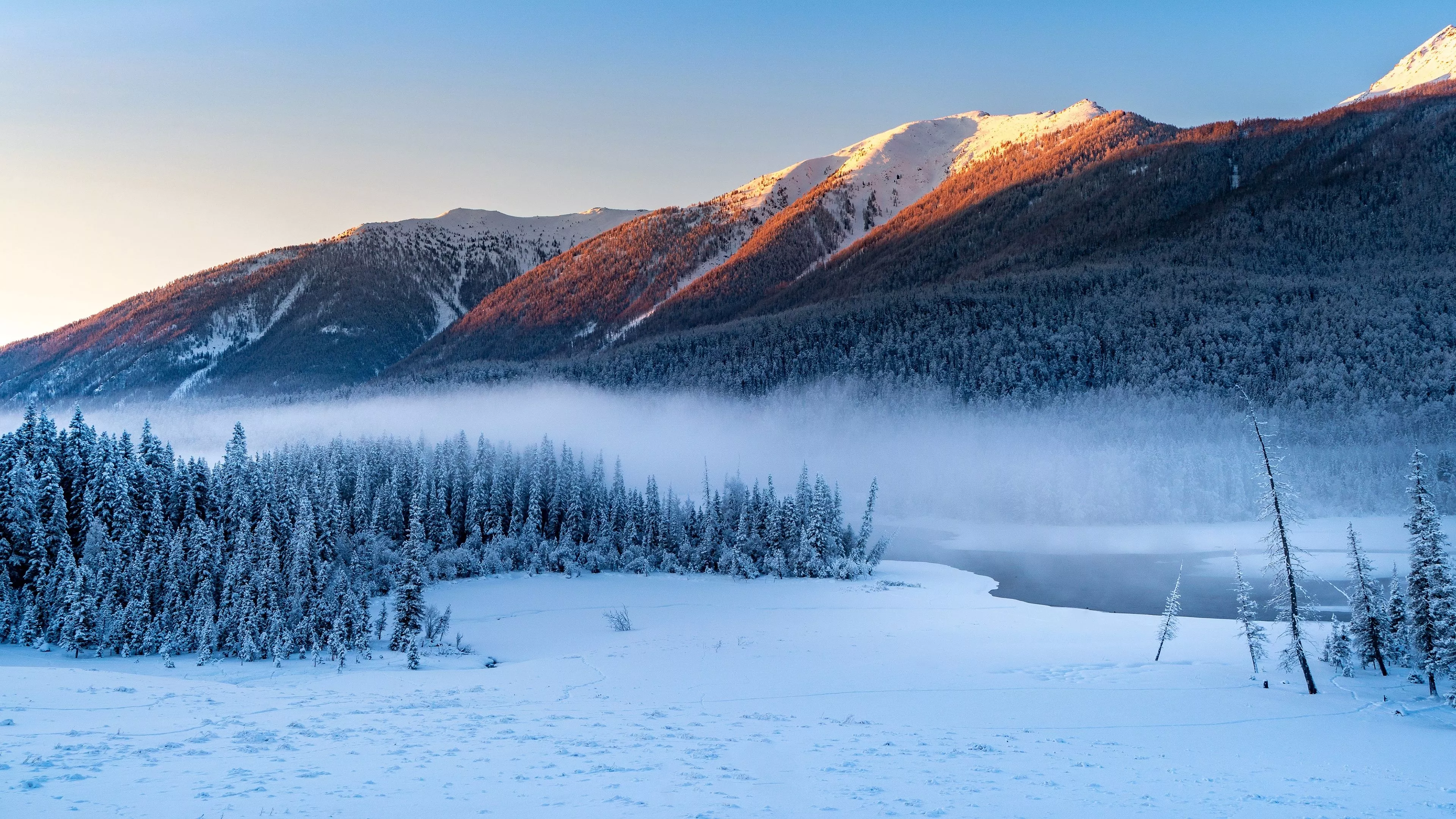 Forest Snowy Winter Mountains Wallpaper