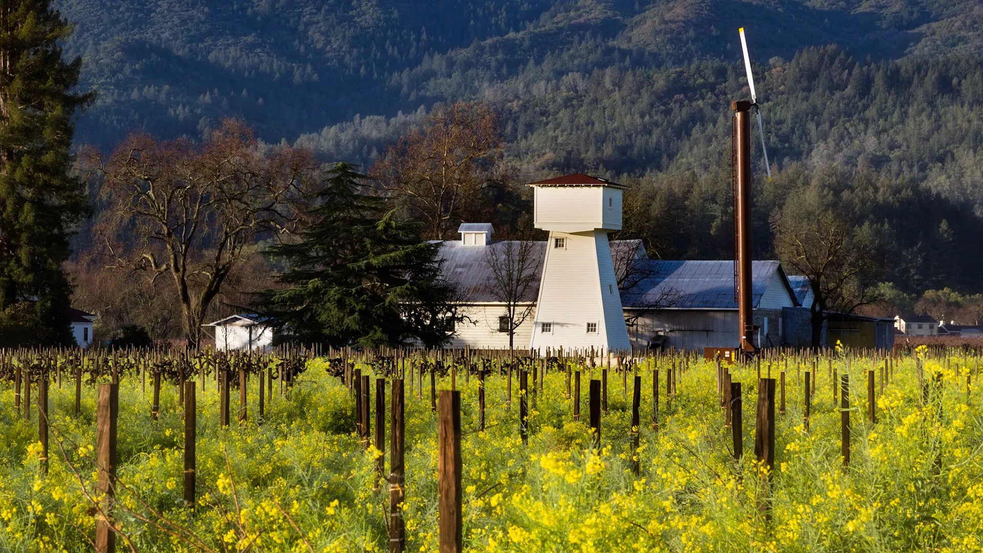 Napa Spring Wallpapers - Wallpaper Cave