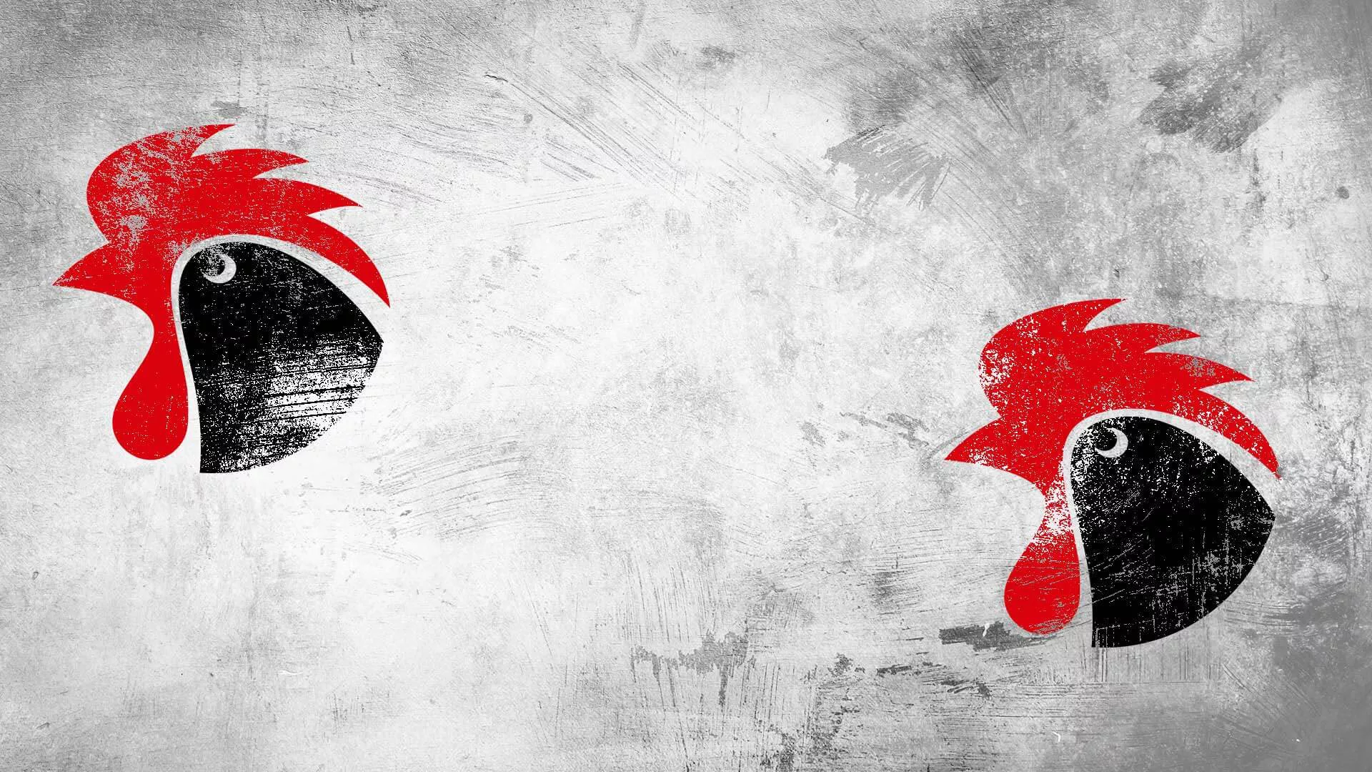 Giovanili Bari, ecco le rose e lo staff