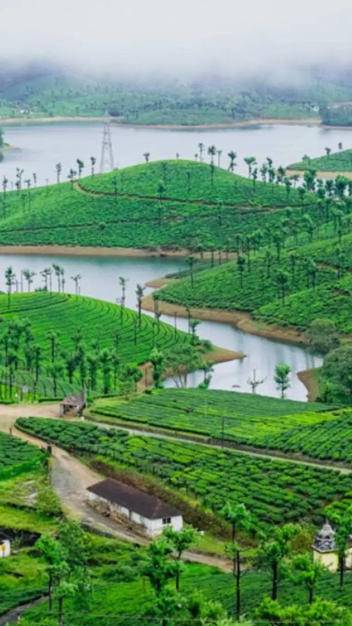 Places to Visit in Valparai