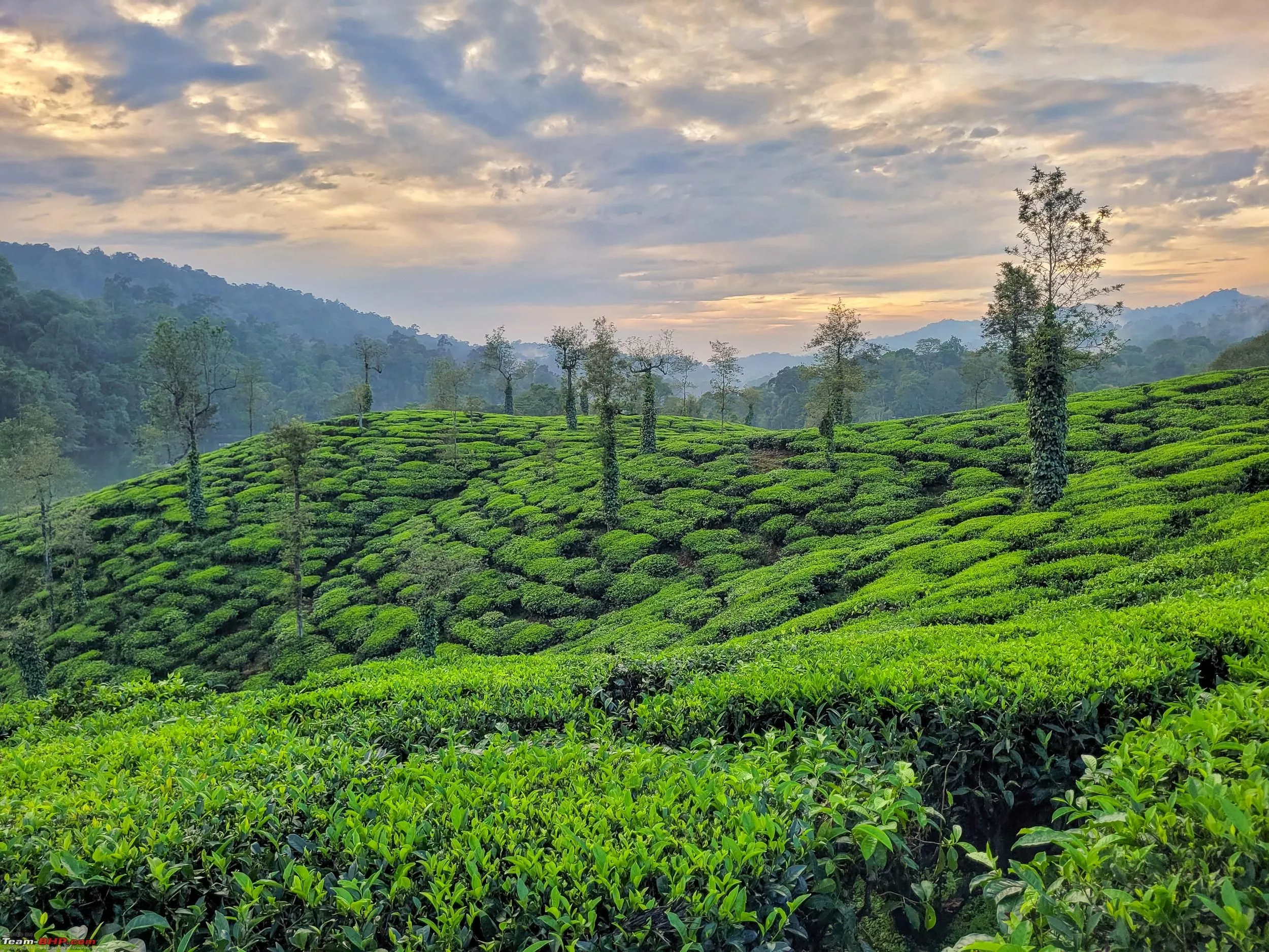 Landscapes and Wildlife from Valparai