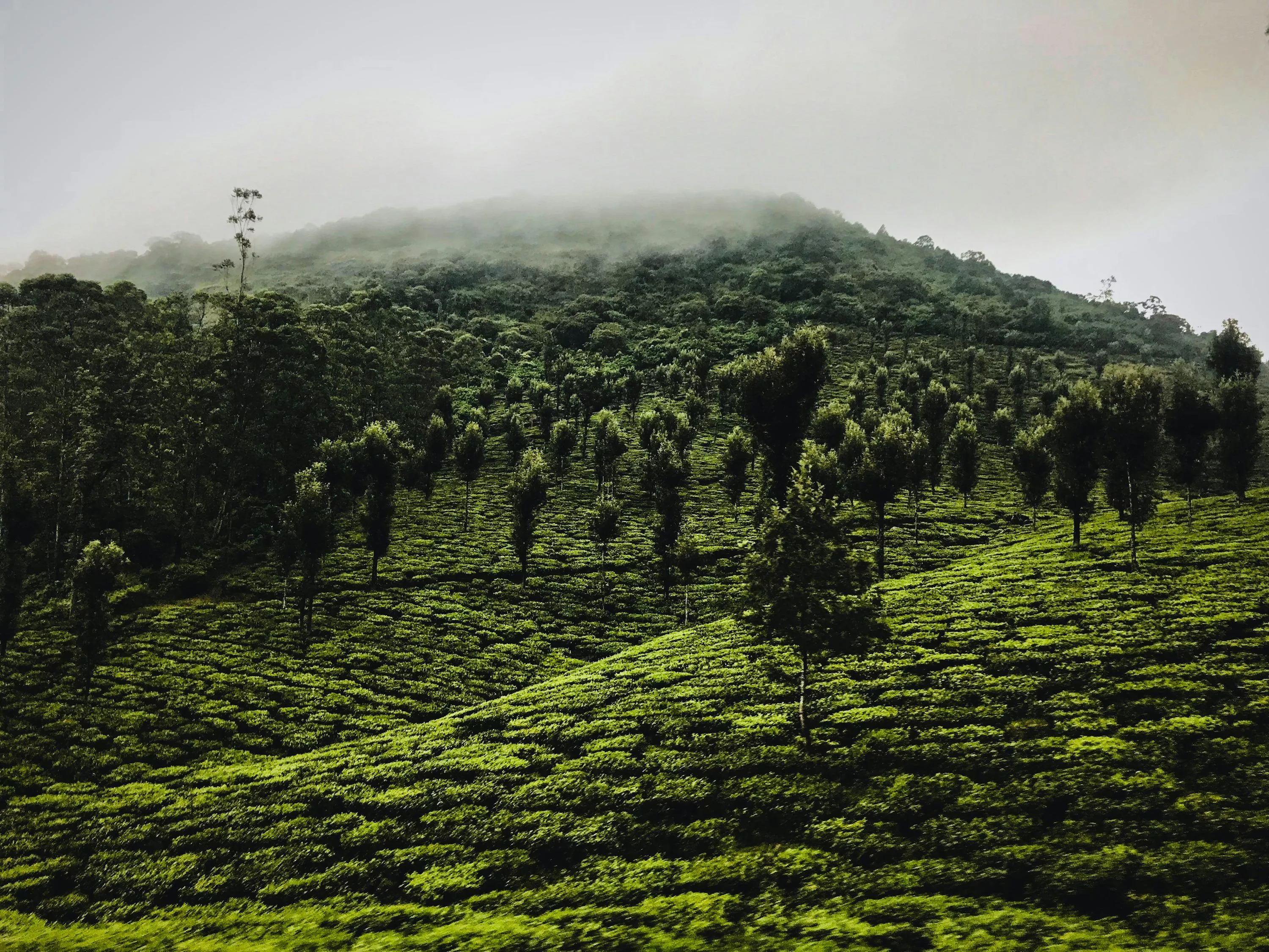 Valparai Picture. Download Free