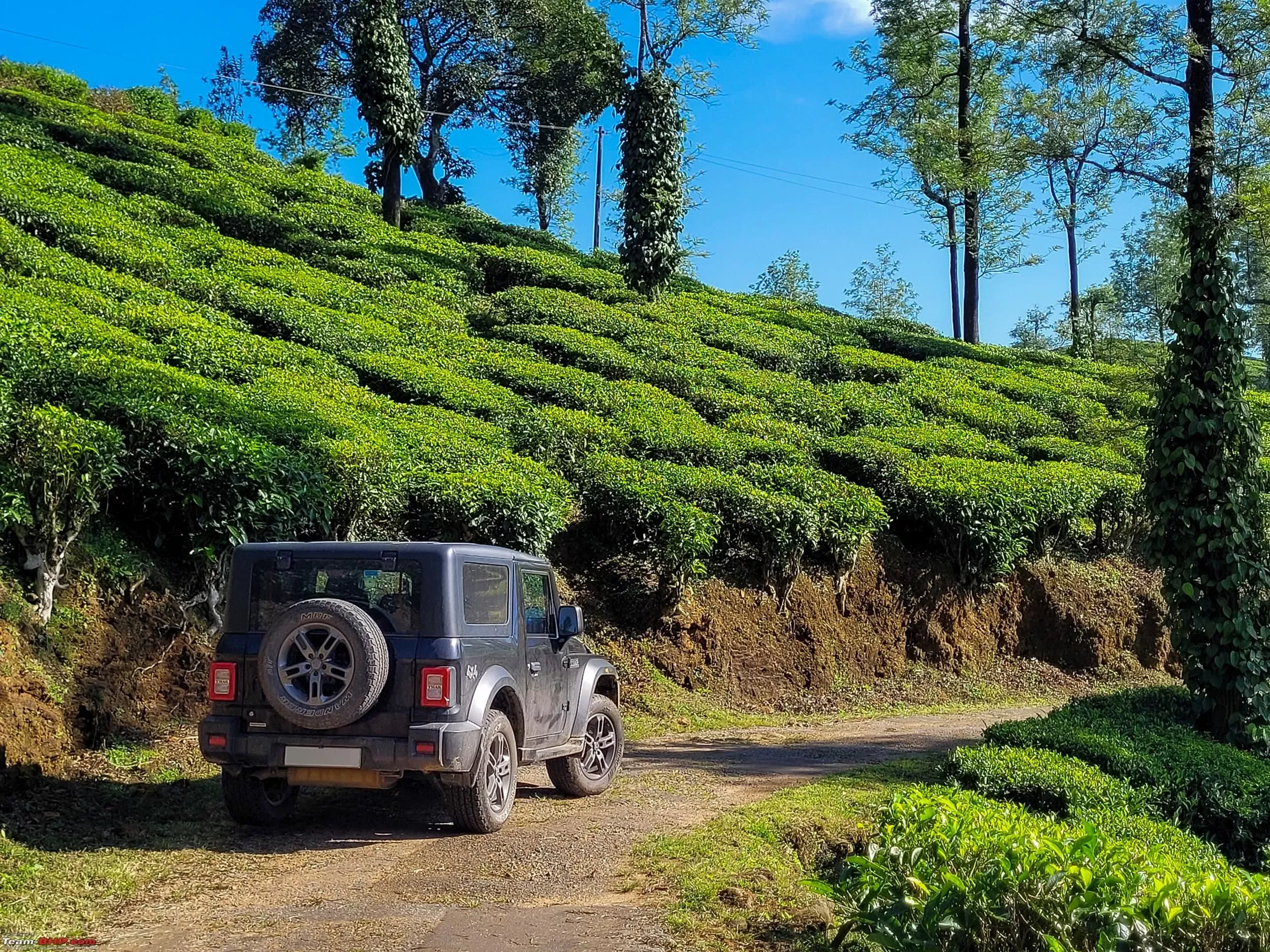 Landscapes and Wildlife from Valparai