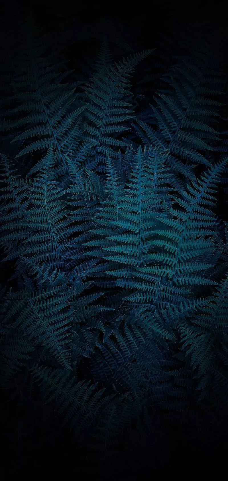 Vivo, screen, HD phone wallpaper