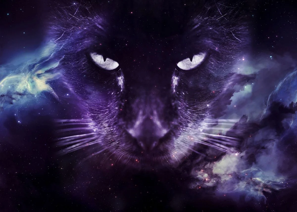 Galaxy Cat face wallpaper ' Poster