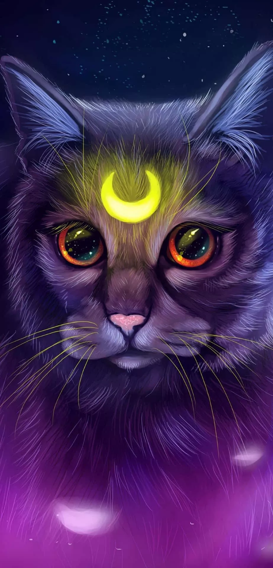 adventurous Galaxy Cat Wallpaper