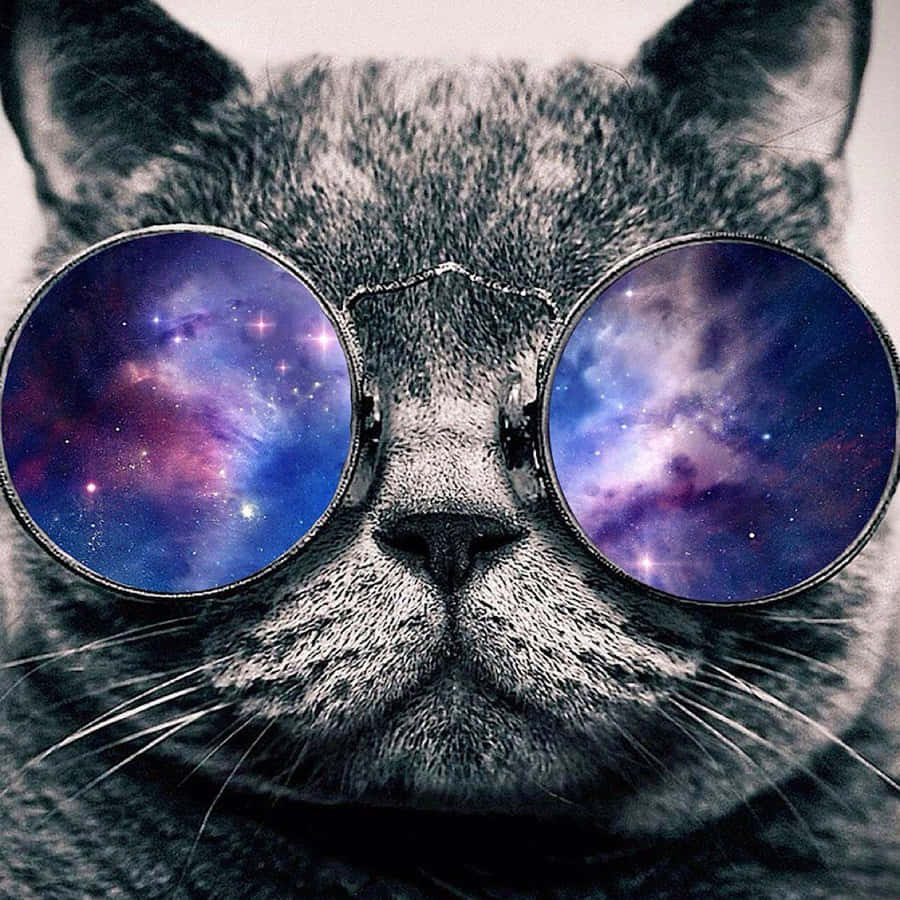 Galaxy Cat Wallpaper