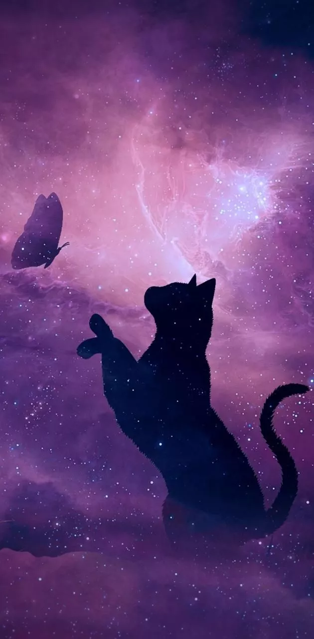 Galaxy cat wallpaper