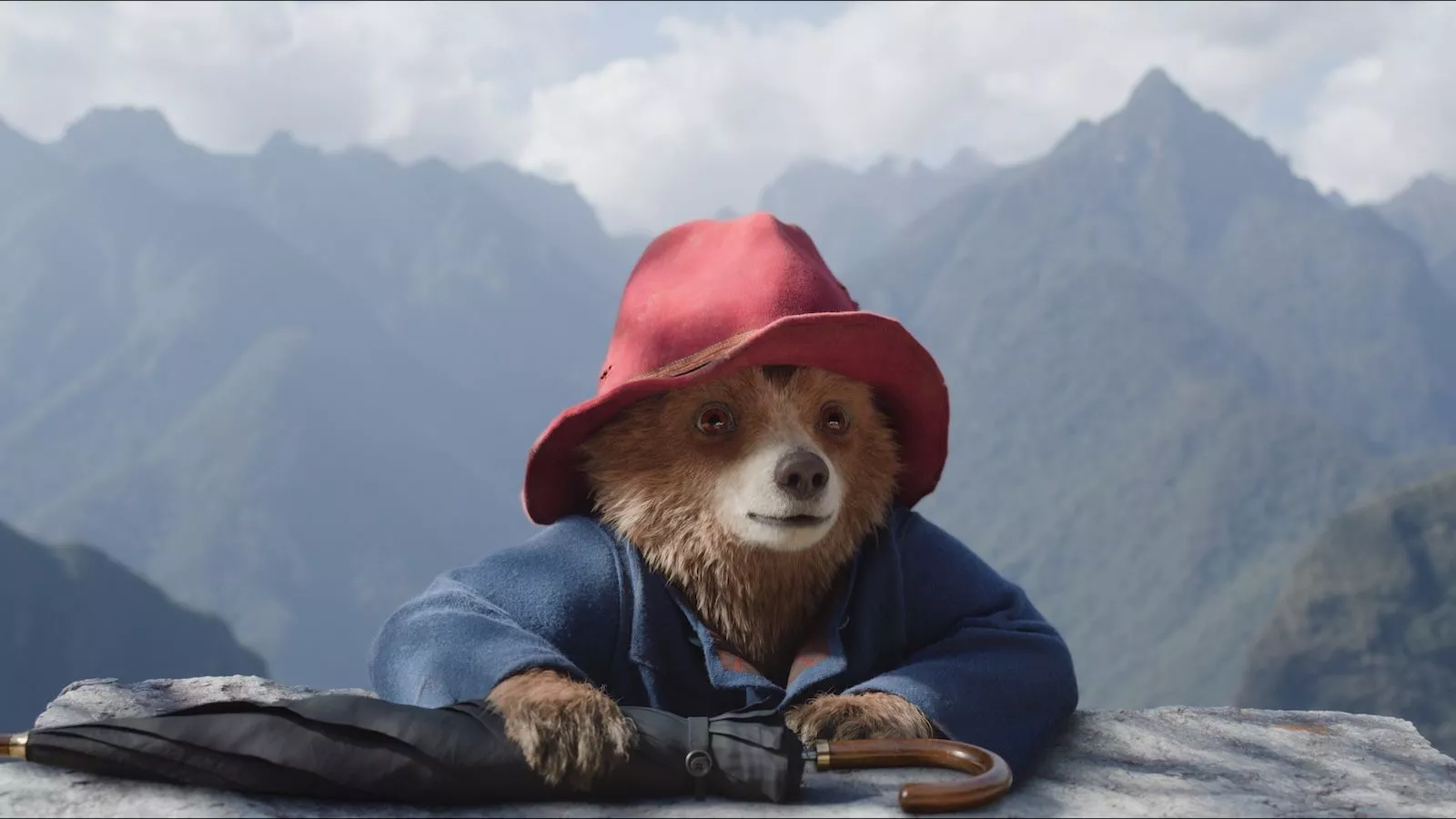 Paddington In Peru Stills Press Photos