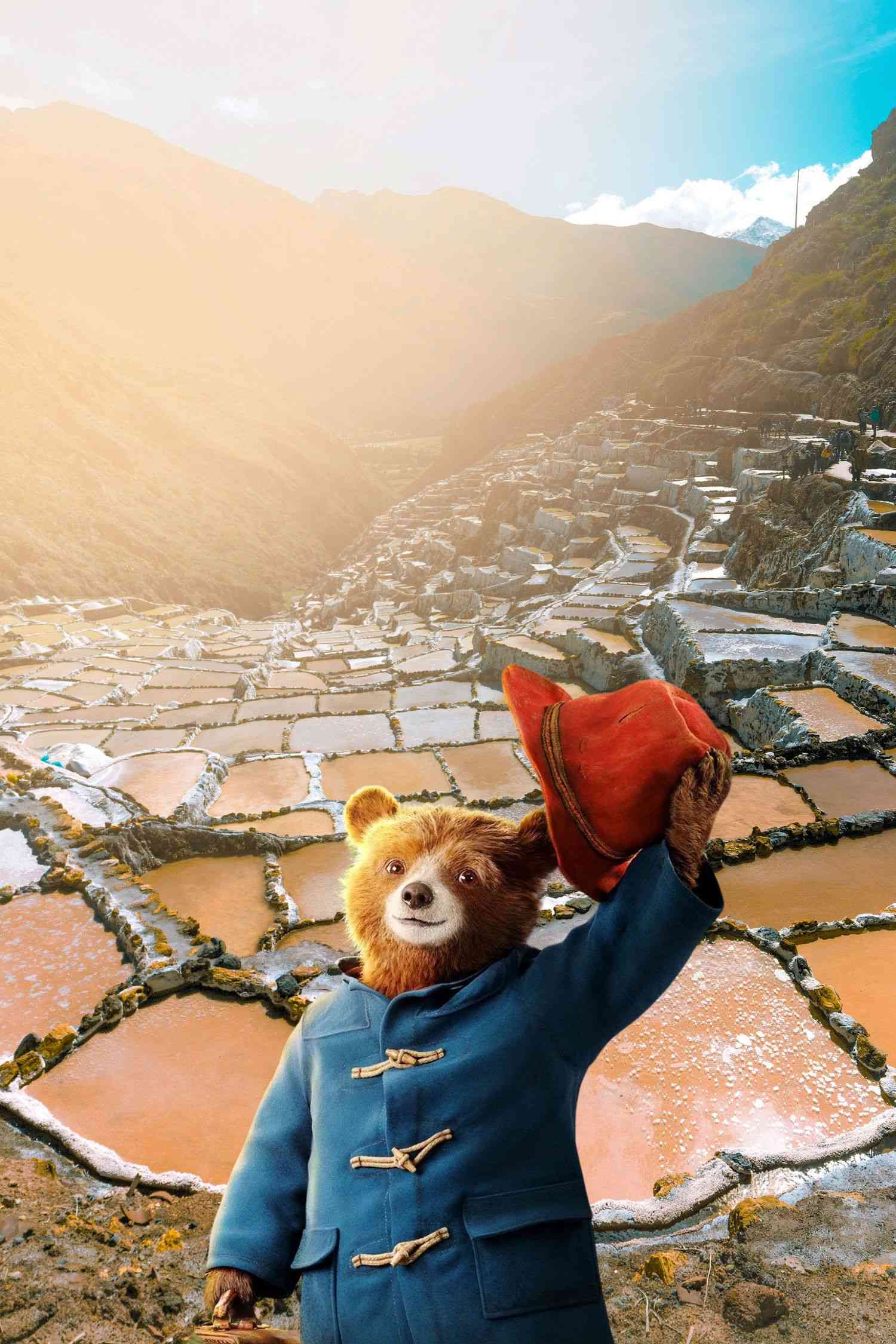 Paddington Peru Journey: Discover