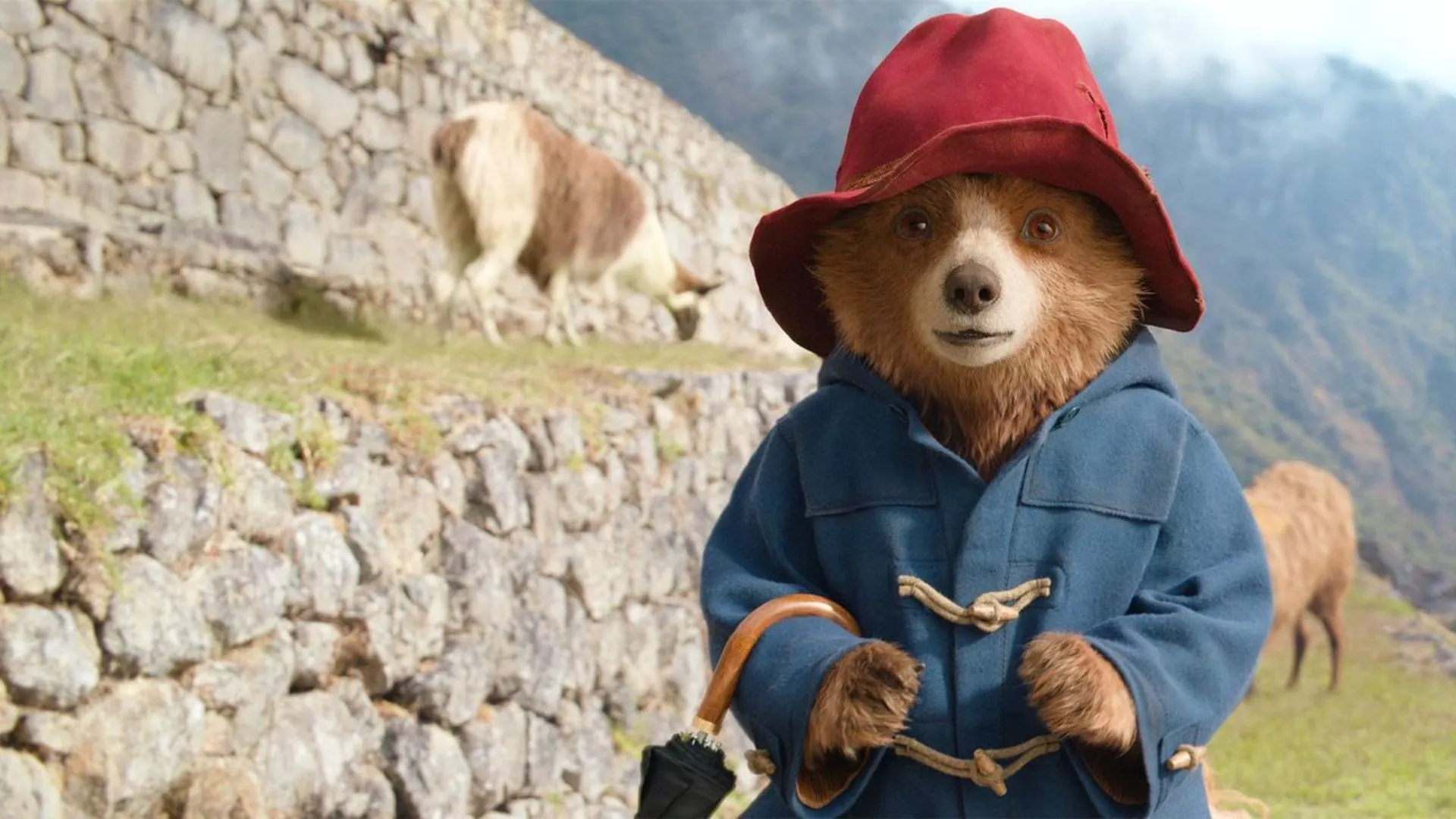 Paddington in Peru, Jacob Burns Film