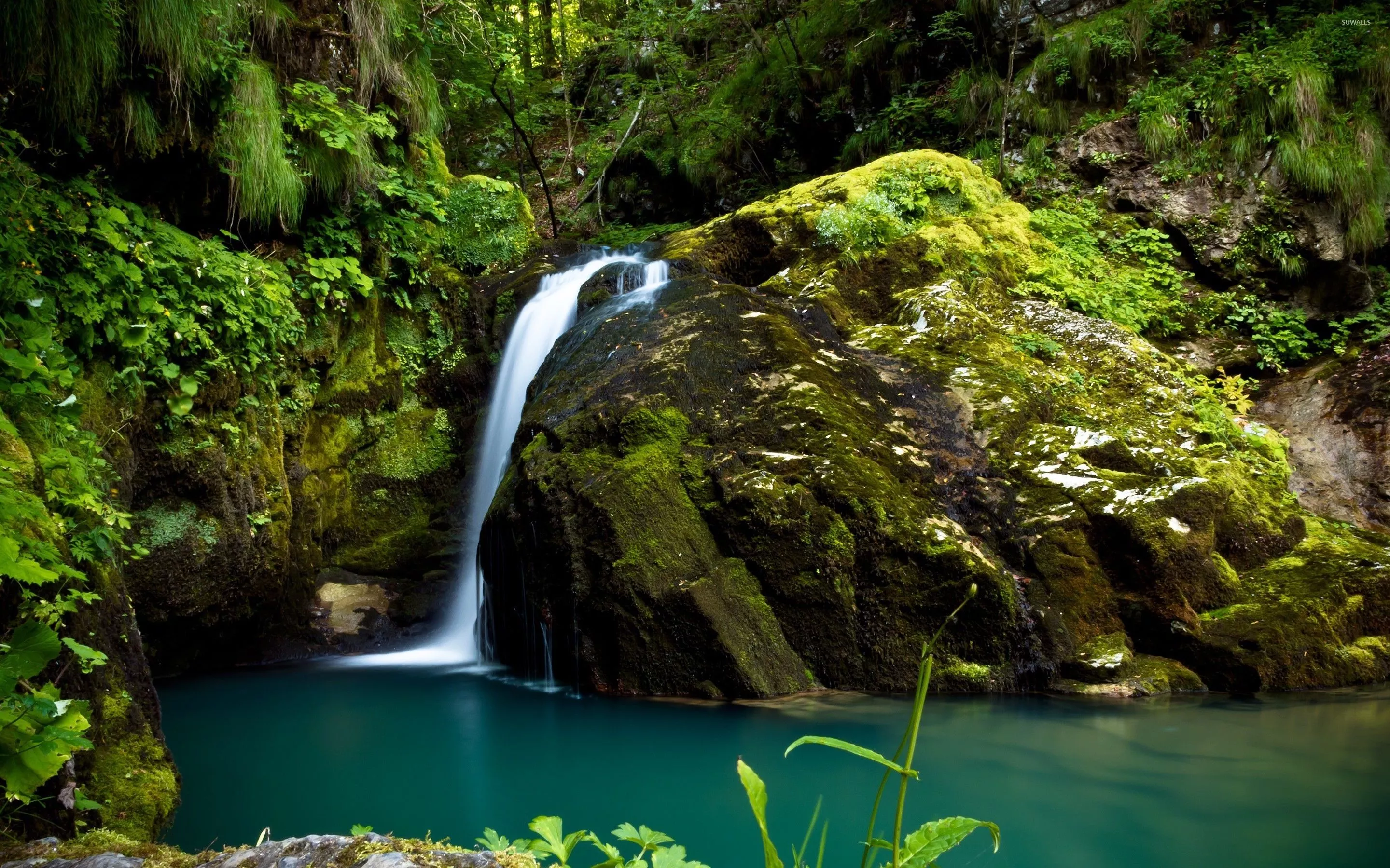 Forest waterfall on mossy rocks