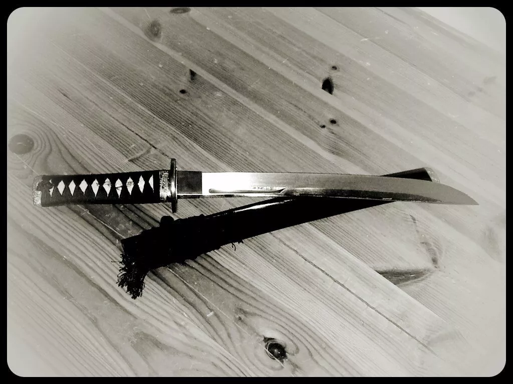 The history of the tanto