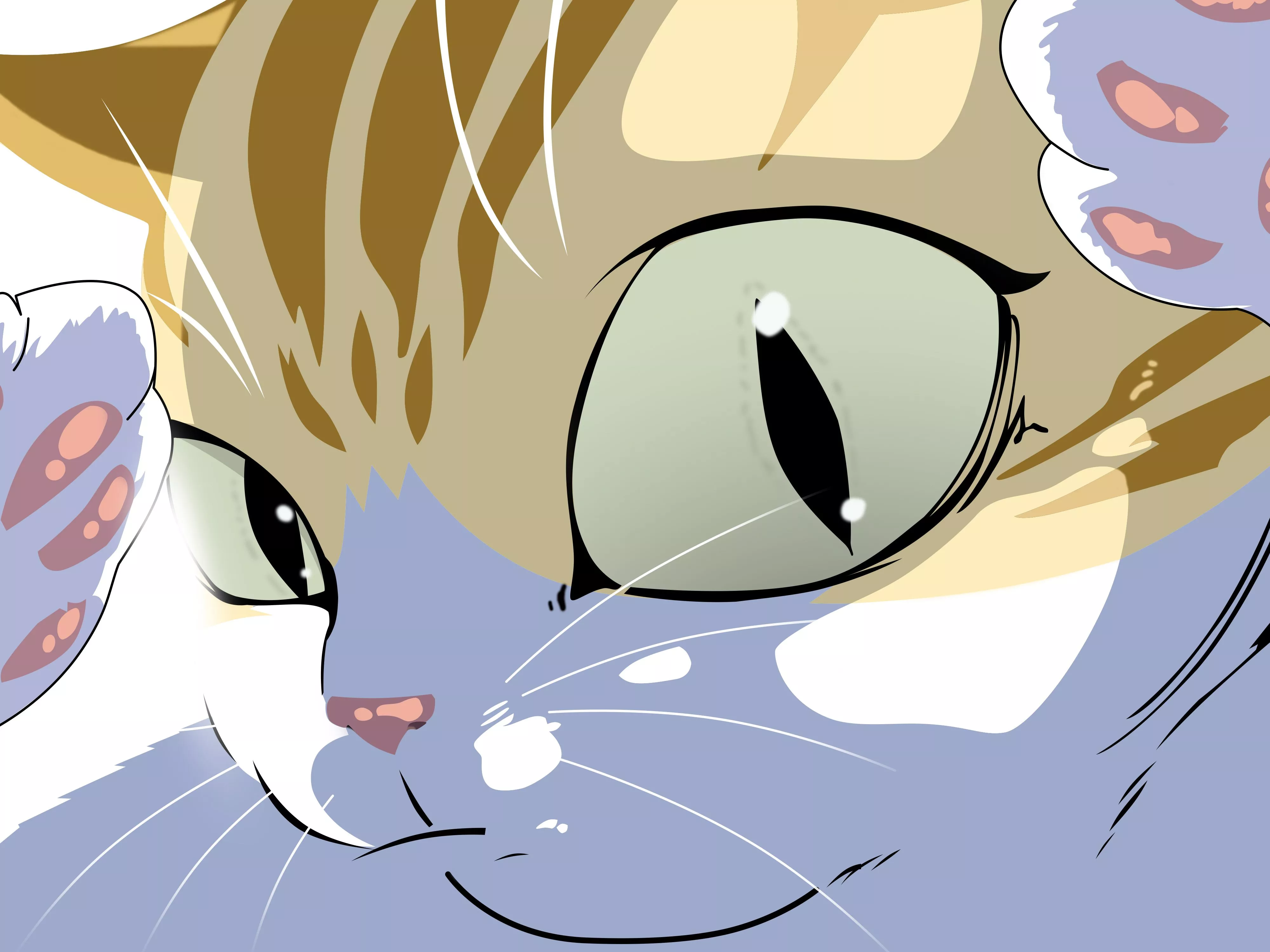 Kayden cat 2 (Redraw)