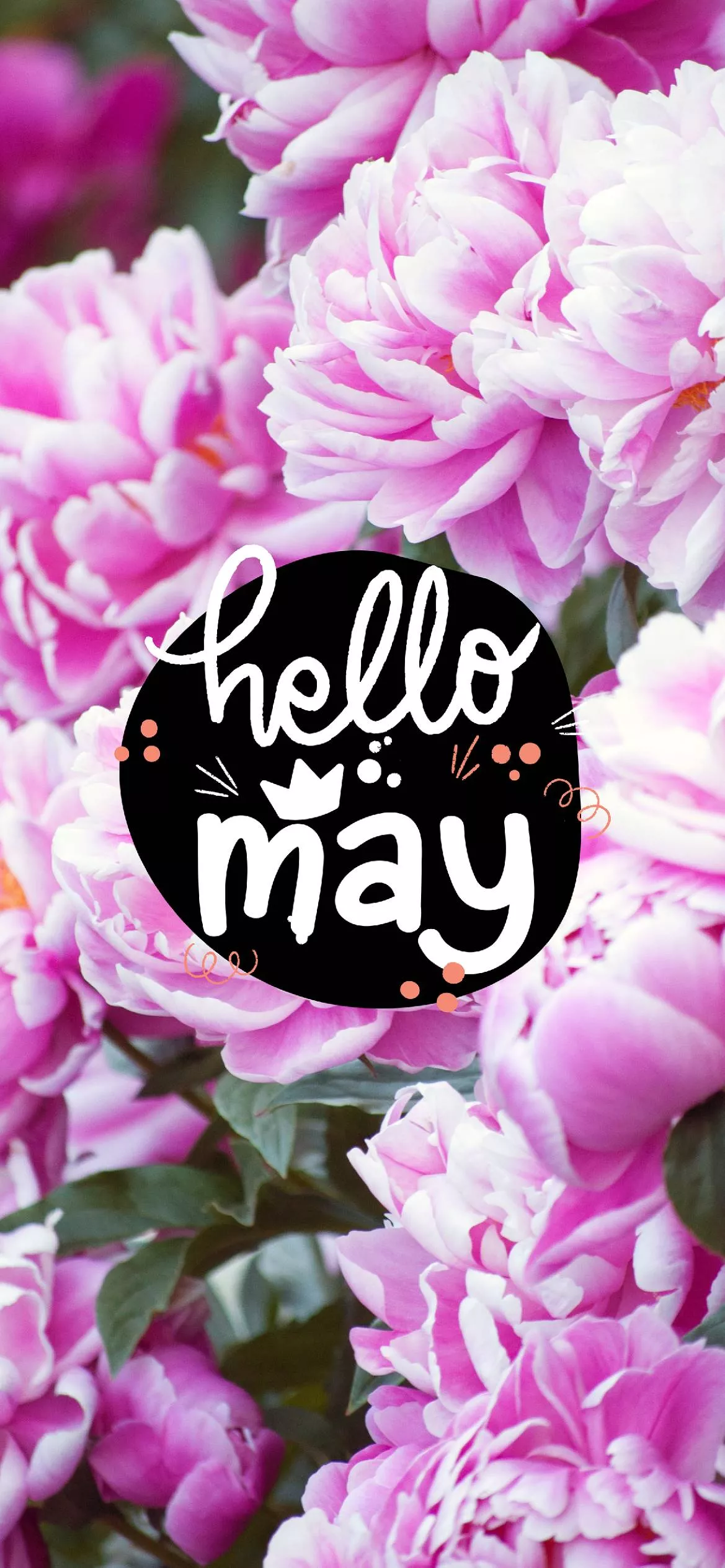 Hello May Free Ideas To Celebrate