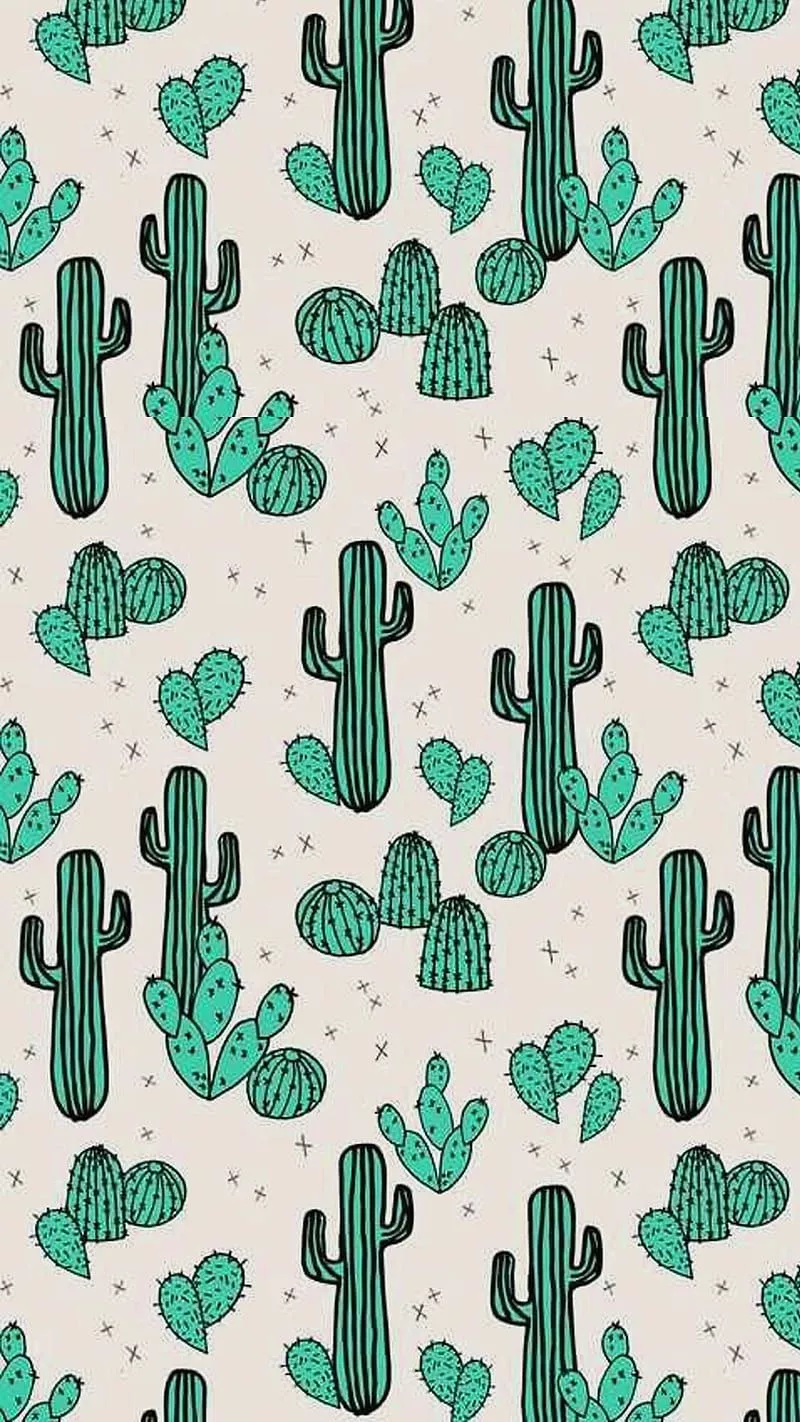 Aesthetic Cactus, Western Asthetic, HD