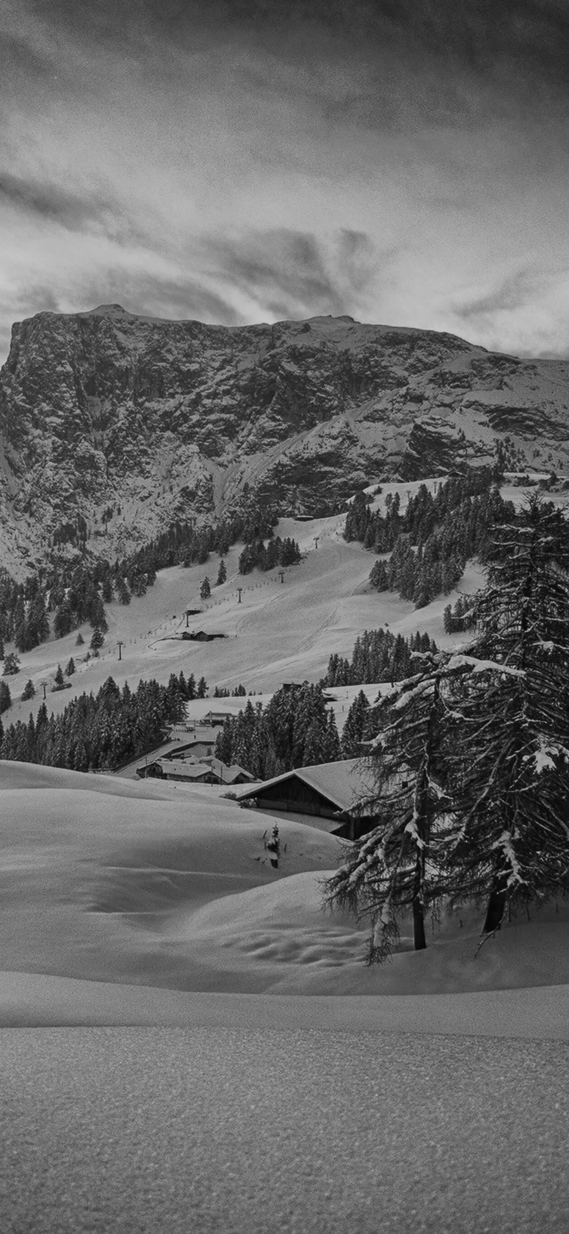 Mountain Green Snow Winter Nature