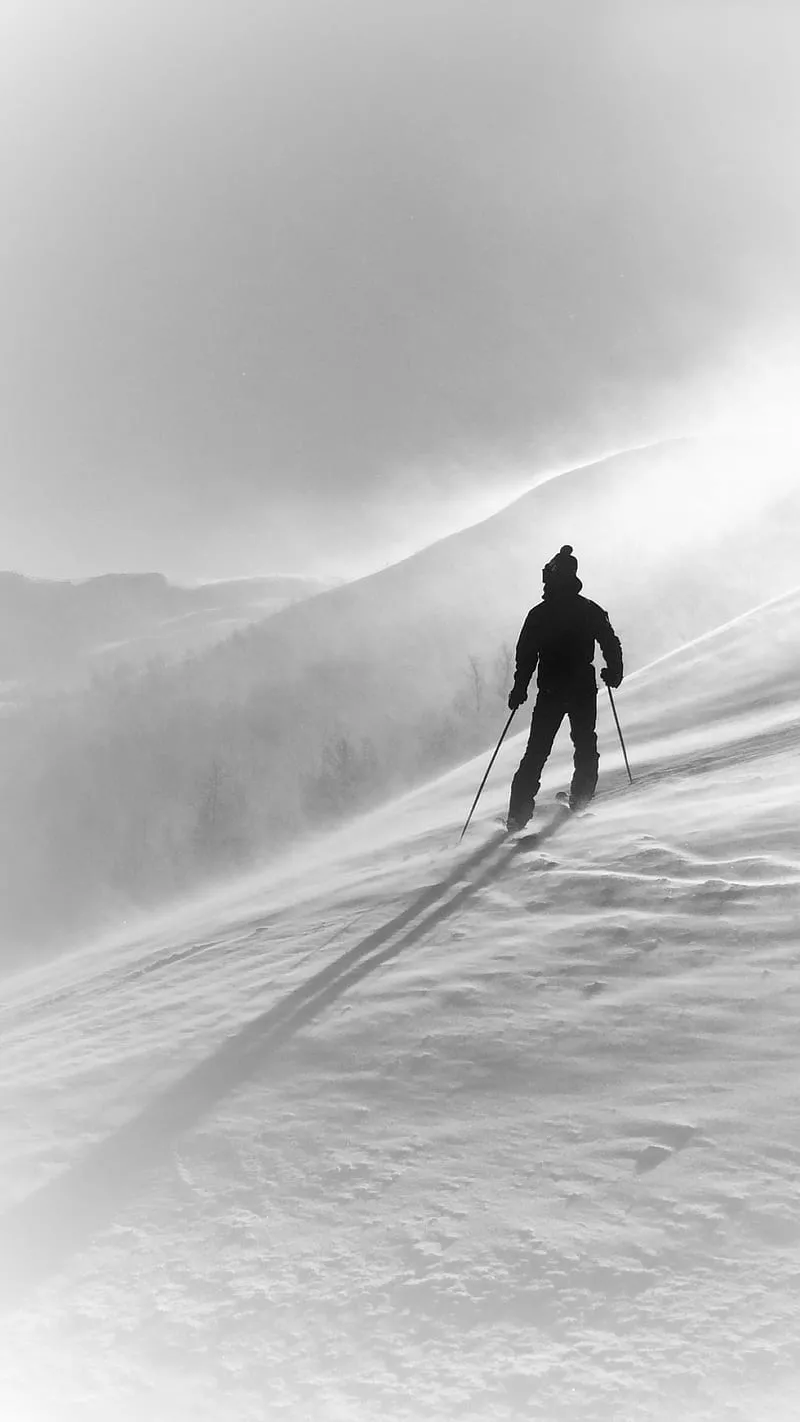 Into The Wild White, ski, skate, winter