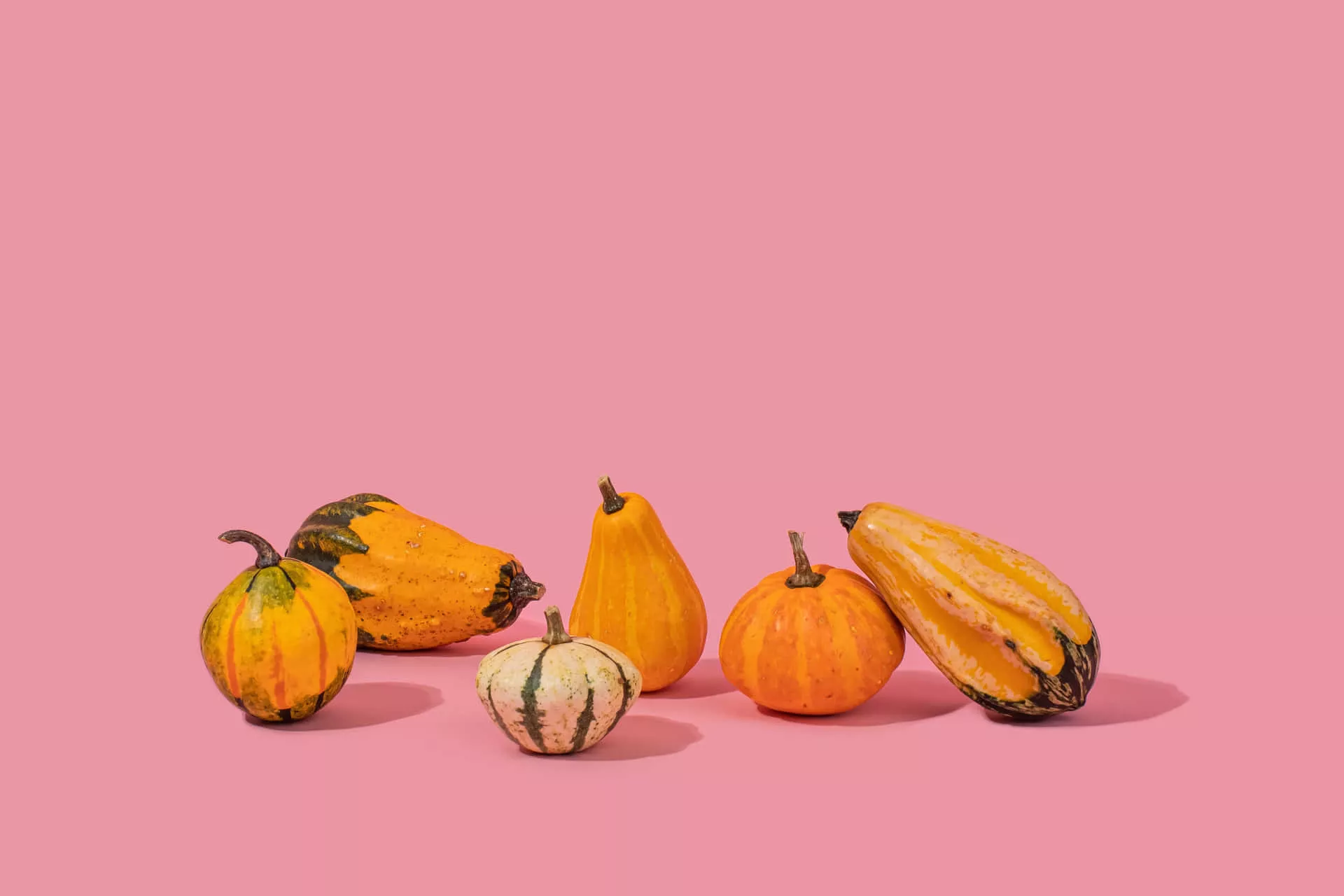 Download Celebrate Fall with a Pink Pumpkin Wallpaper
