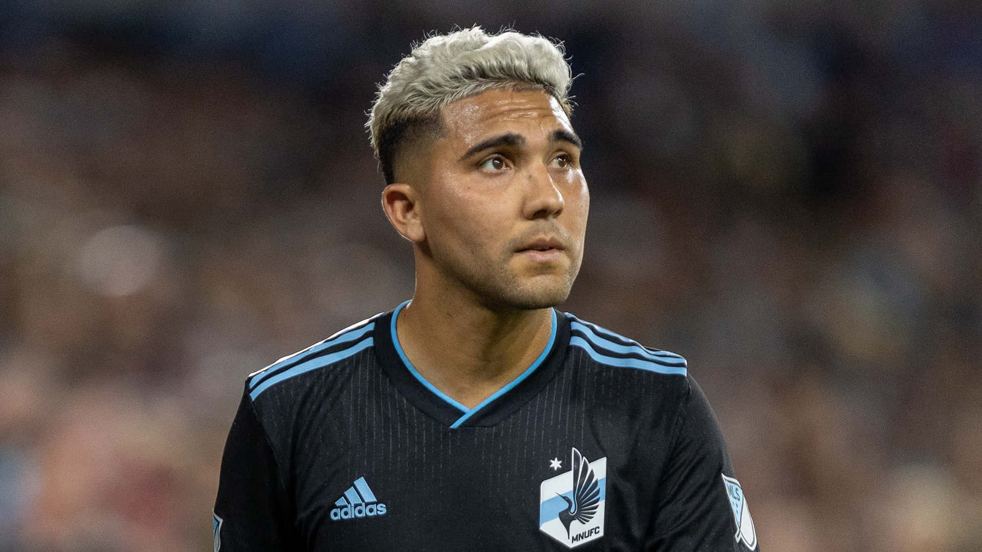 Download Emanuel Reynoso Minnesota