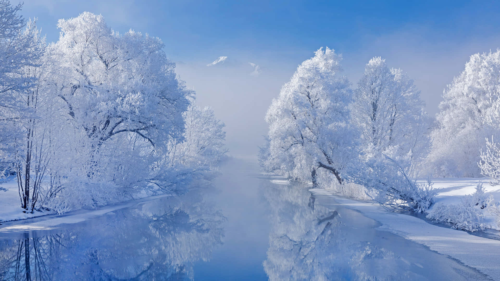 Beautiful Winter Wallpaper