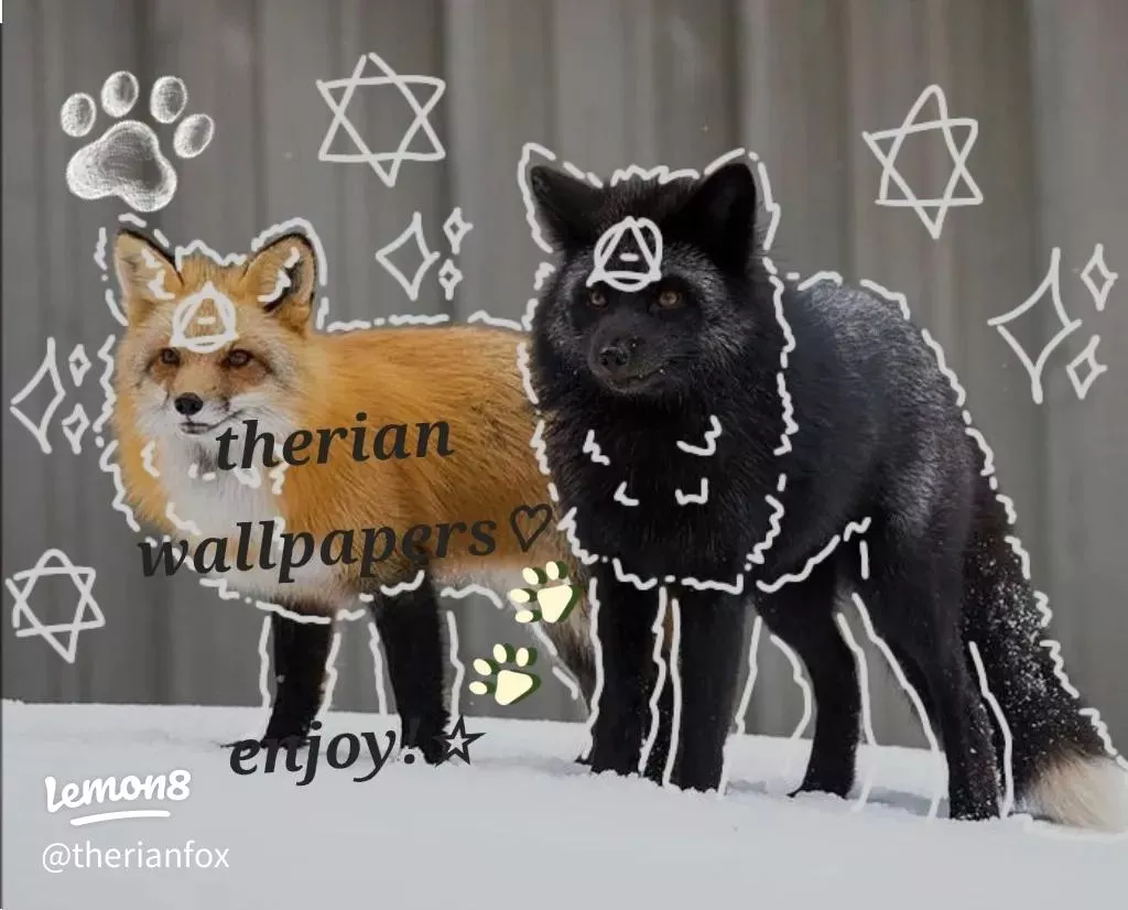 therian wallpaper• ♡