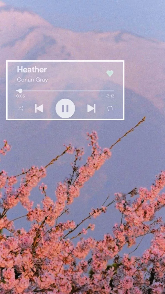 heather- Conan Gray wallpaper