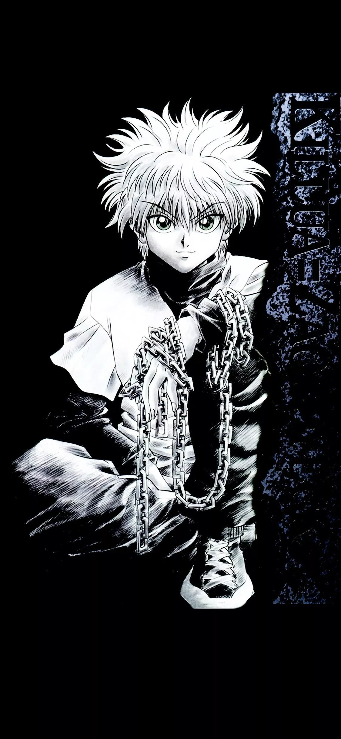 Hunter x Hunter Wallpaper