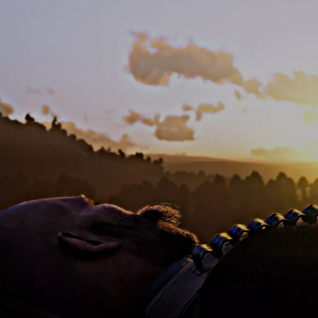 Arthur Morgan Death Scene