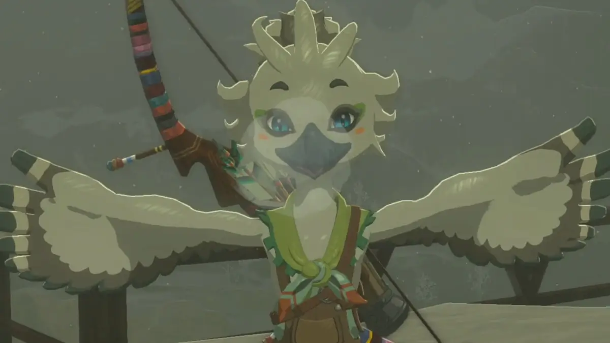 Zelda Tears of the Kingdom Tulin