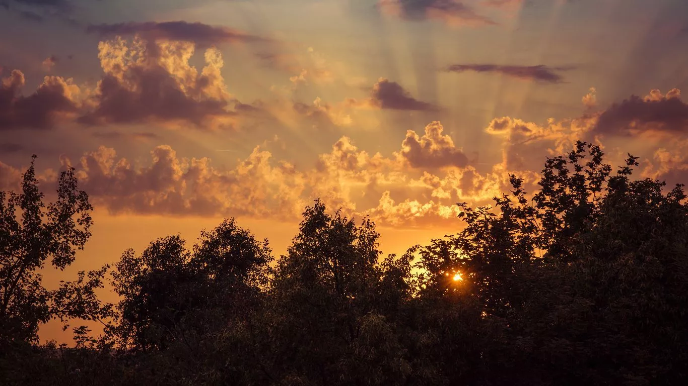 wallpaper 1366x768 sunrise, sky, trees
