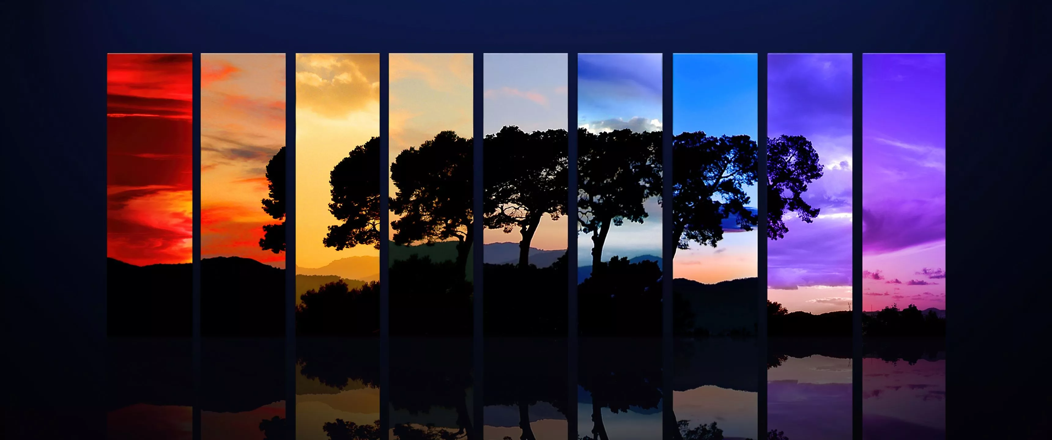 Tree Wallpaper 4K, Sunset, Daylight