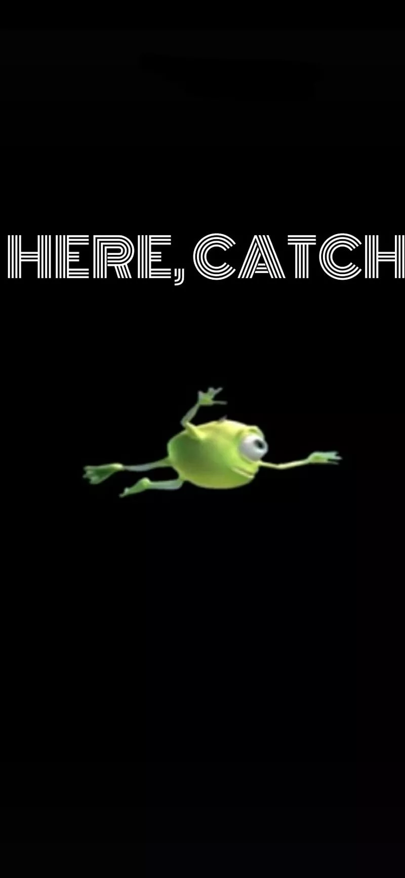 Here catch, funny, meme, HD phone wallpaper
