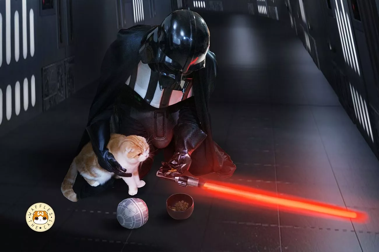 Darth Vader Finds A Cat On The Starship