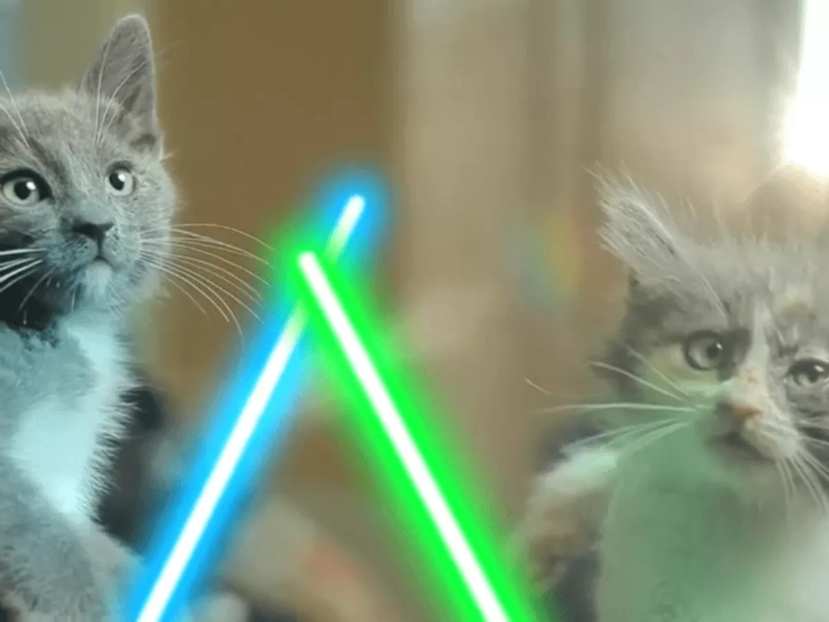 Jedi Kittens Duel With Light Sabers [VIDEO]